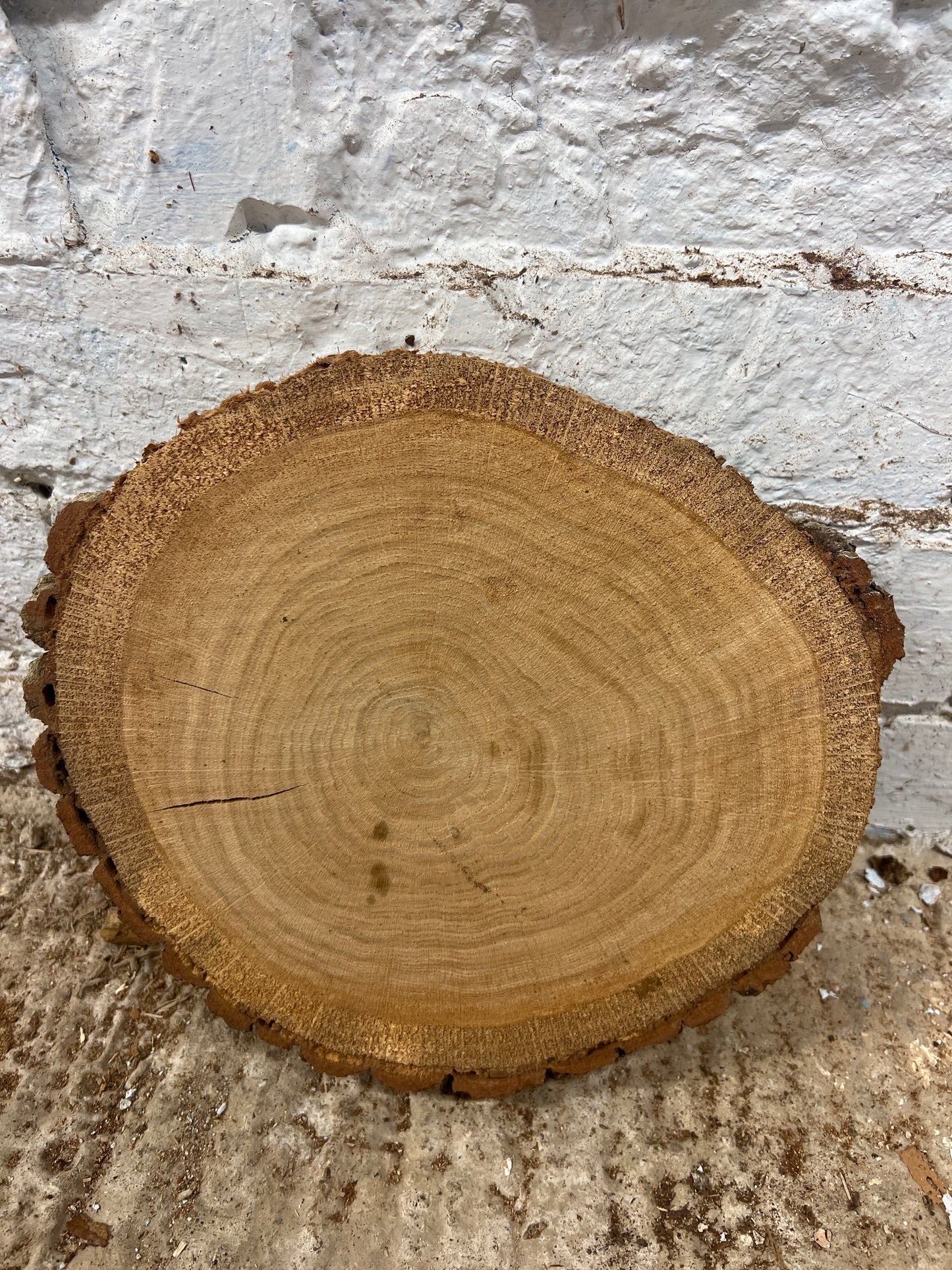 Oak No 145 - 260x240x40mm Sawn