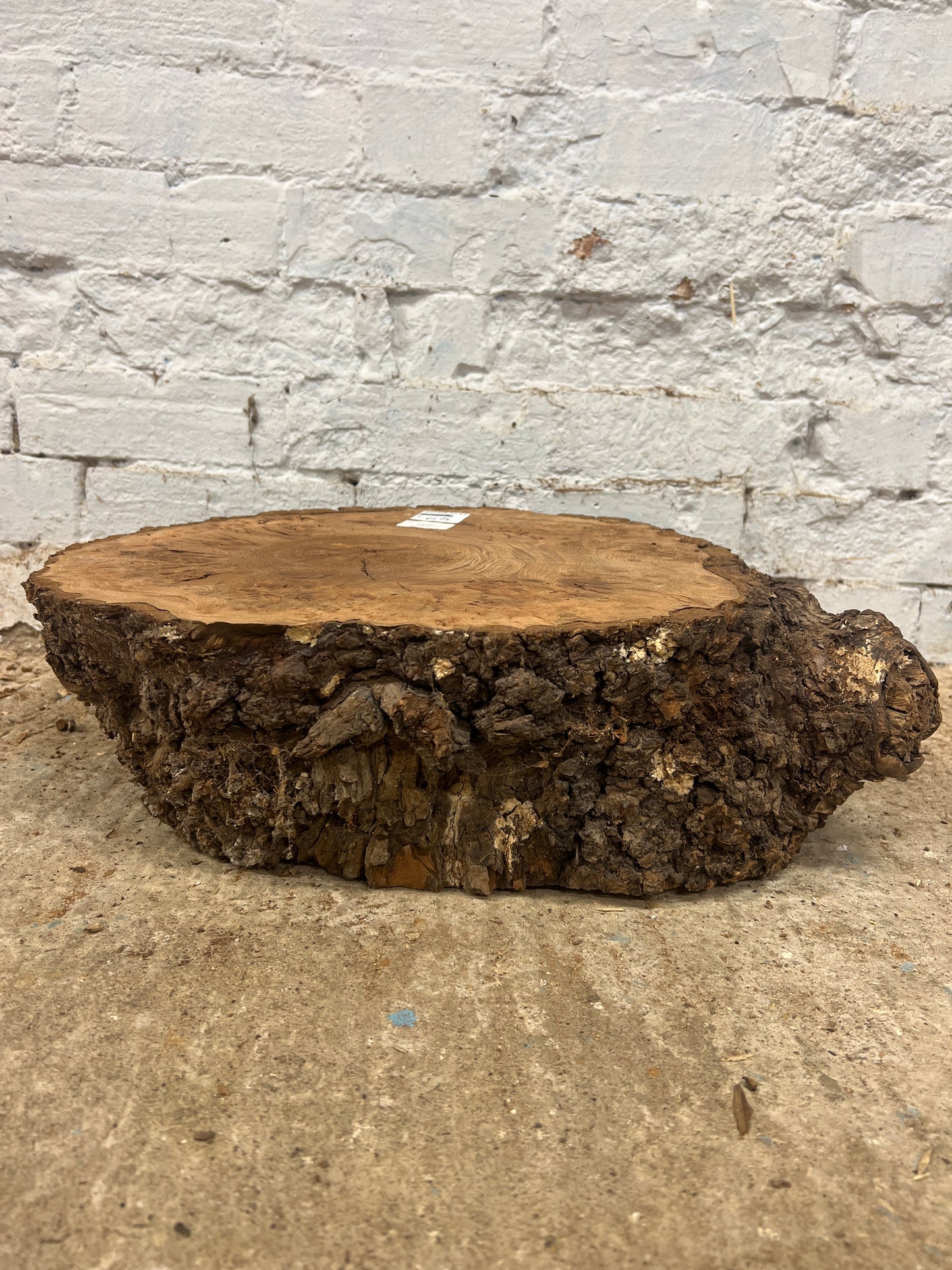 Elm No 140 - 400x370x150mm Sawn