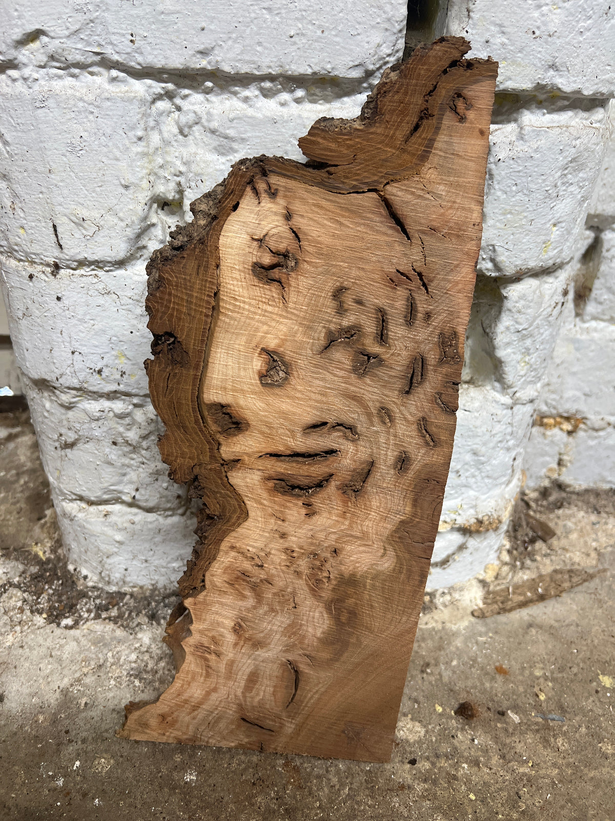 Elm No 181 -350x120-150x25mm Sawn