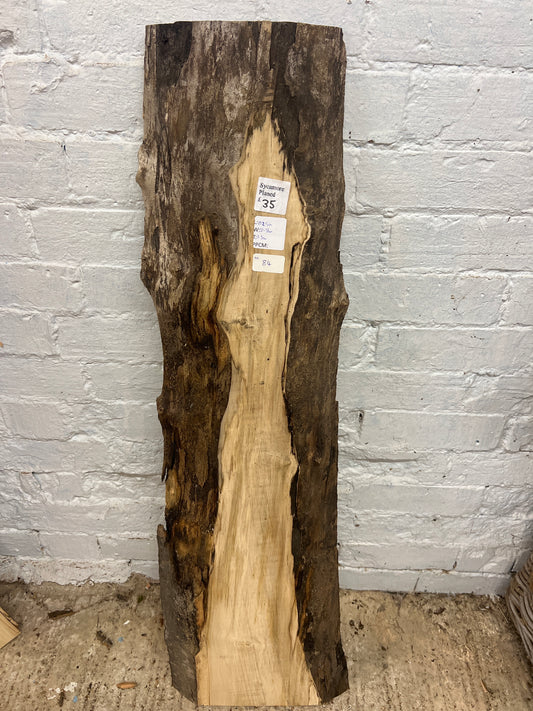 Sycamore No 84 - 1025x210-310x35mm Planed