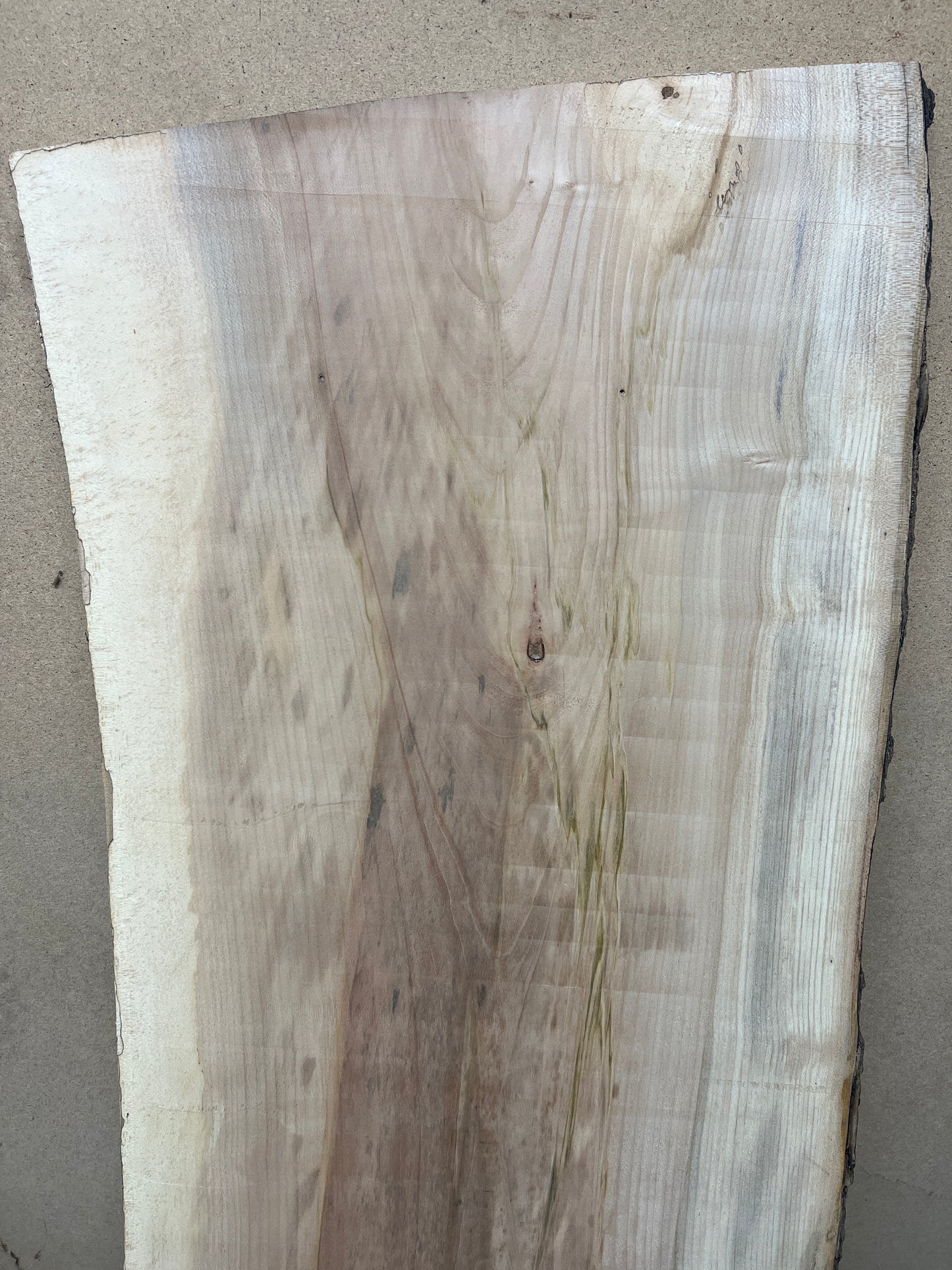 Beech No 173 - 1310x510-550x37mm Planed