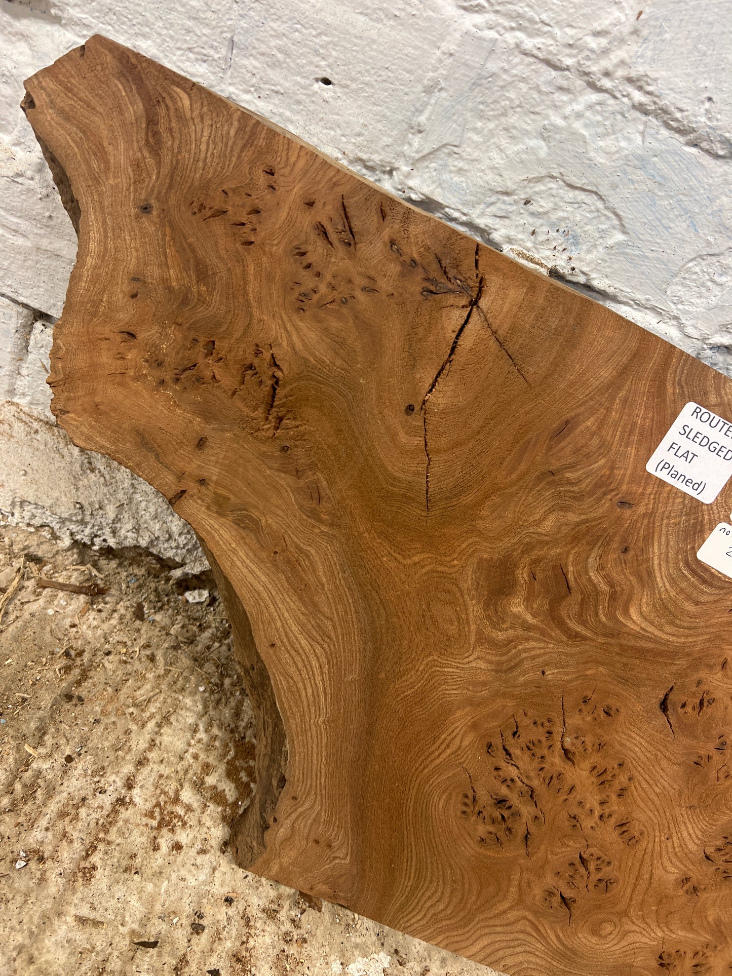 Burr Elm No 220- 350x400-520x40mm Planed