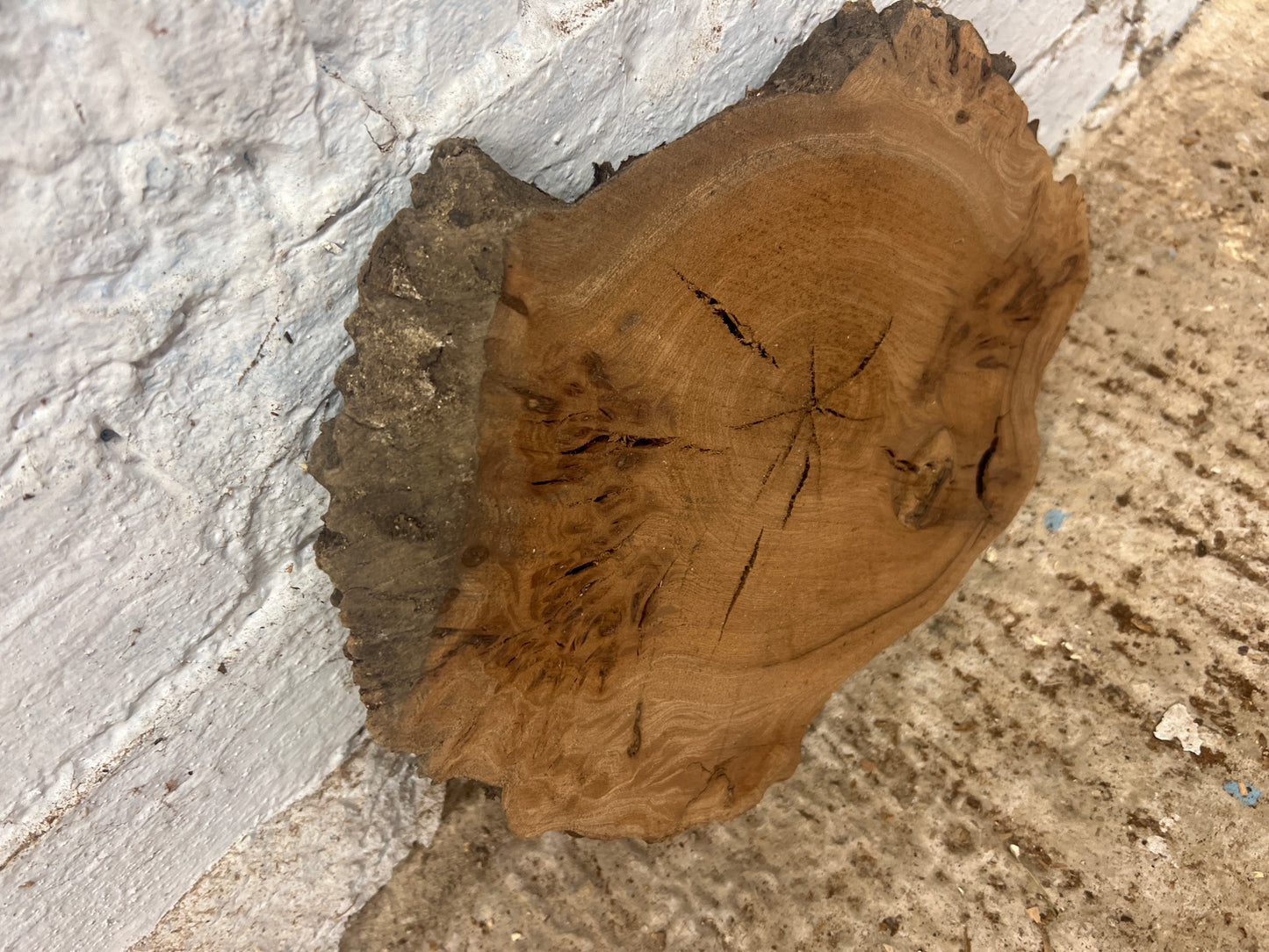 Burr Elm No 107 - 310x200x30mm Sawn