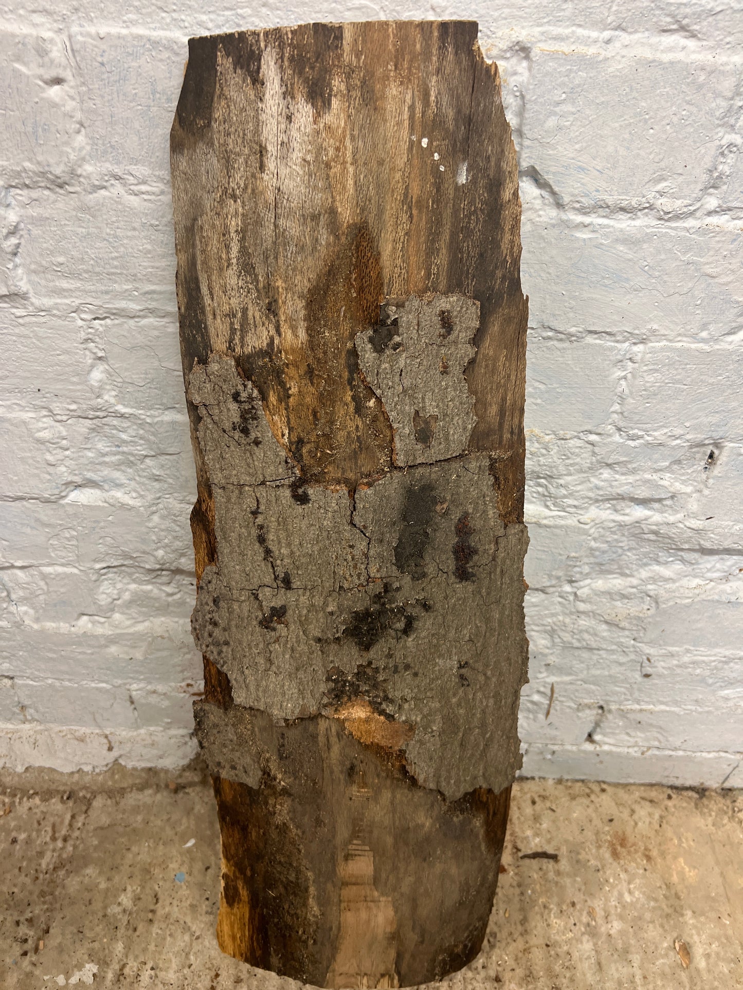 Spalted Beech No 6 - 750x140-240x40mm Planed