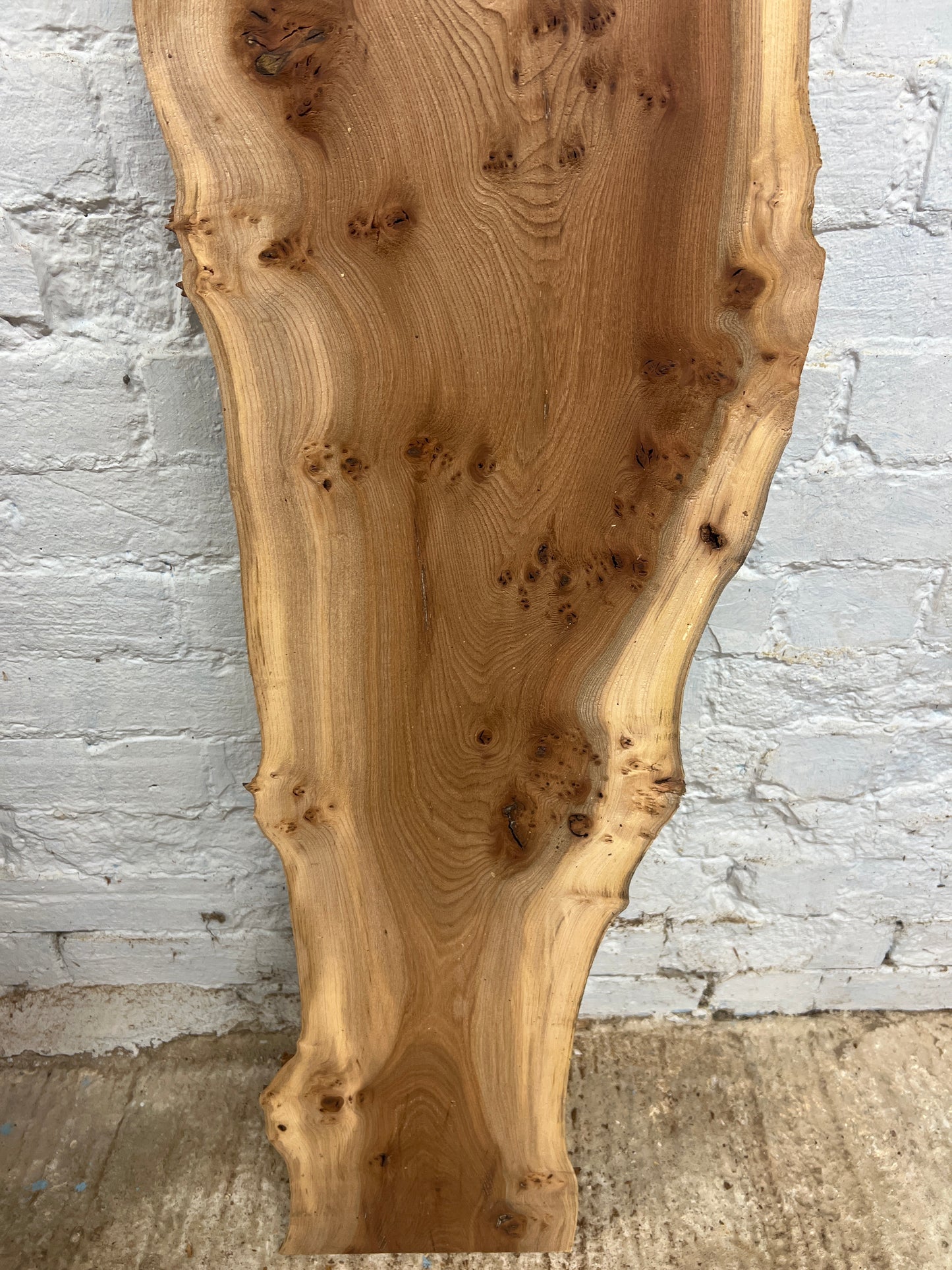 Burr Elm No 228 - 1560x160-310x25mm Planed