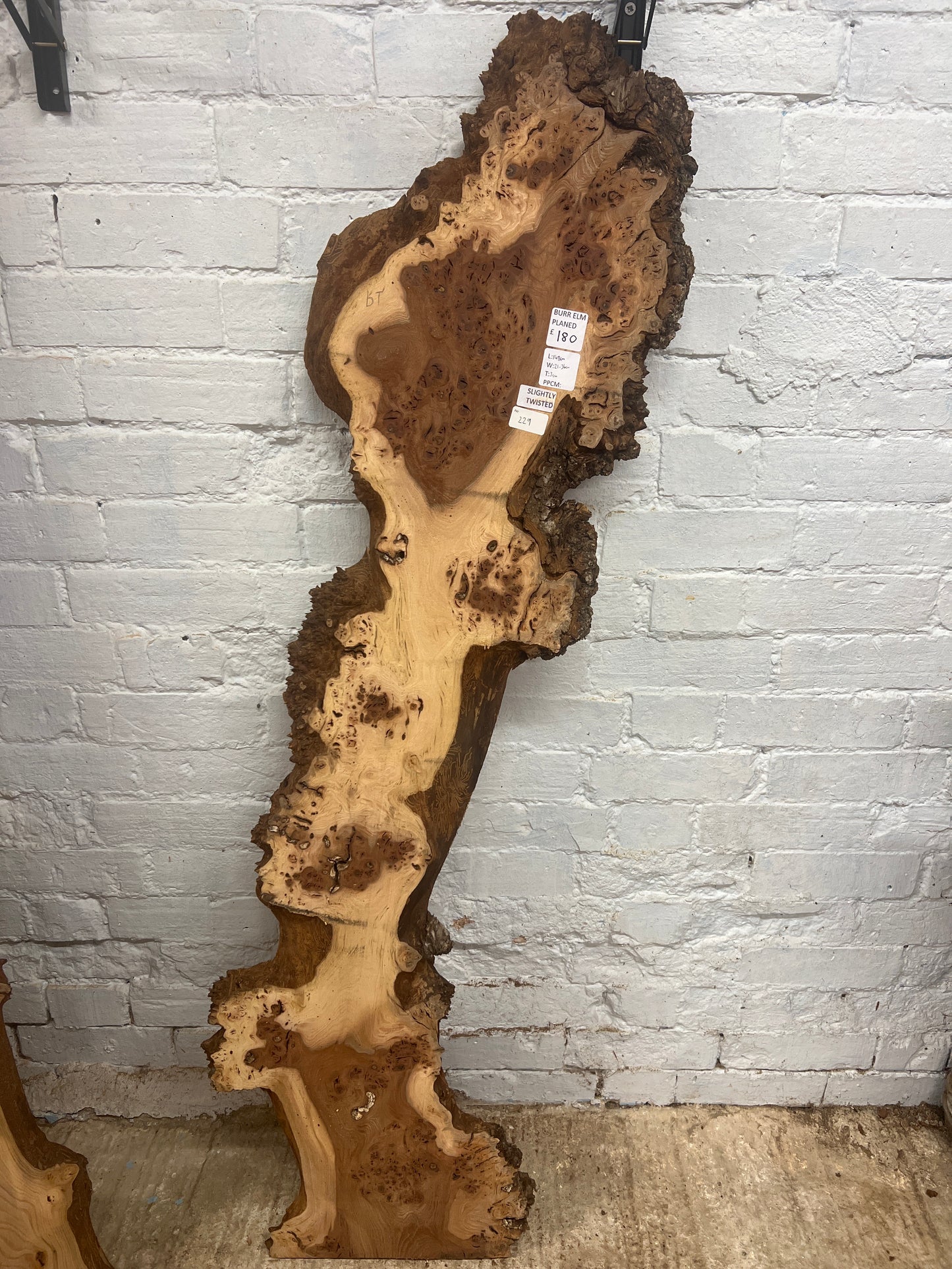 Burr Elm No 229 - 1480x210-360x30mm Planed