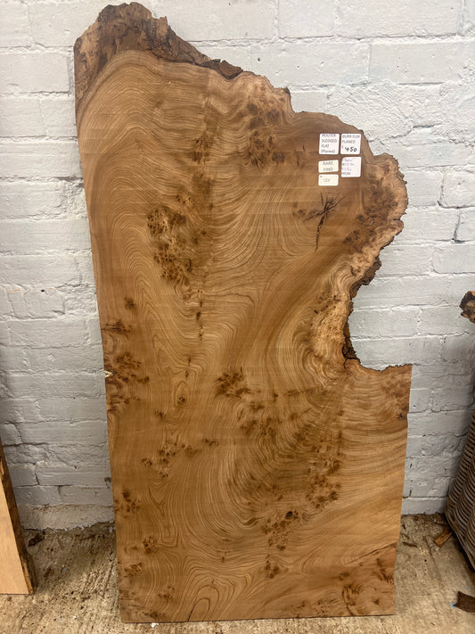 Elm No 120 - 1400x530-700x38mm Planed