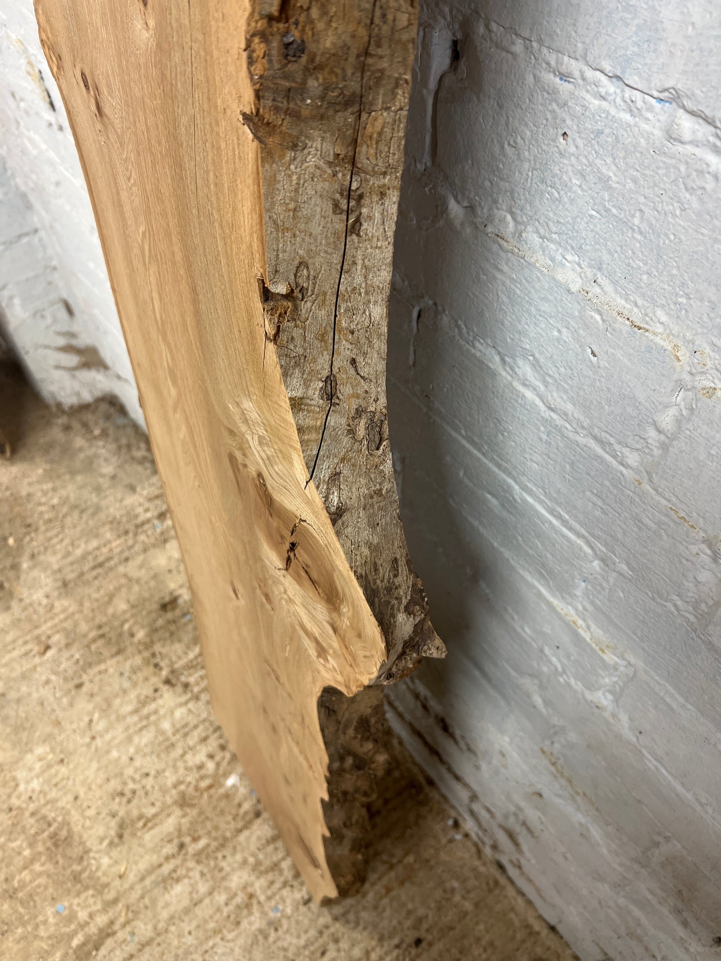 Elm No 181 - 1980x230-450x40mm Planed