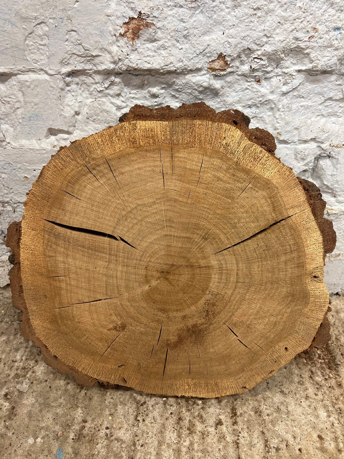 Oak No 45 - 330x300x50mm Sawn