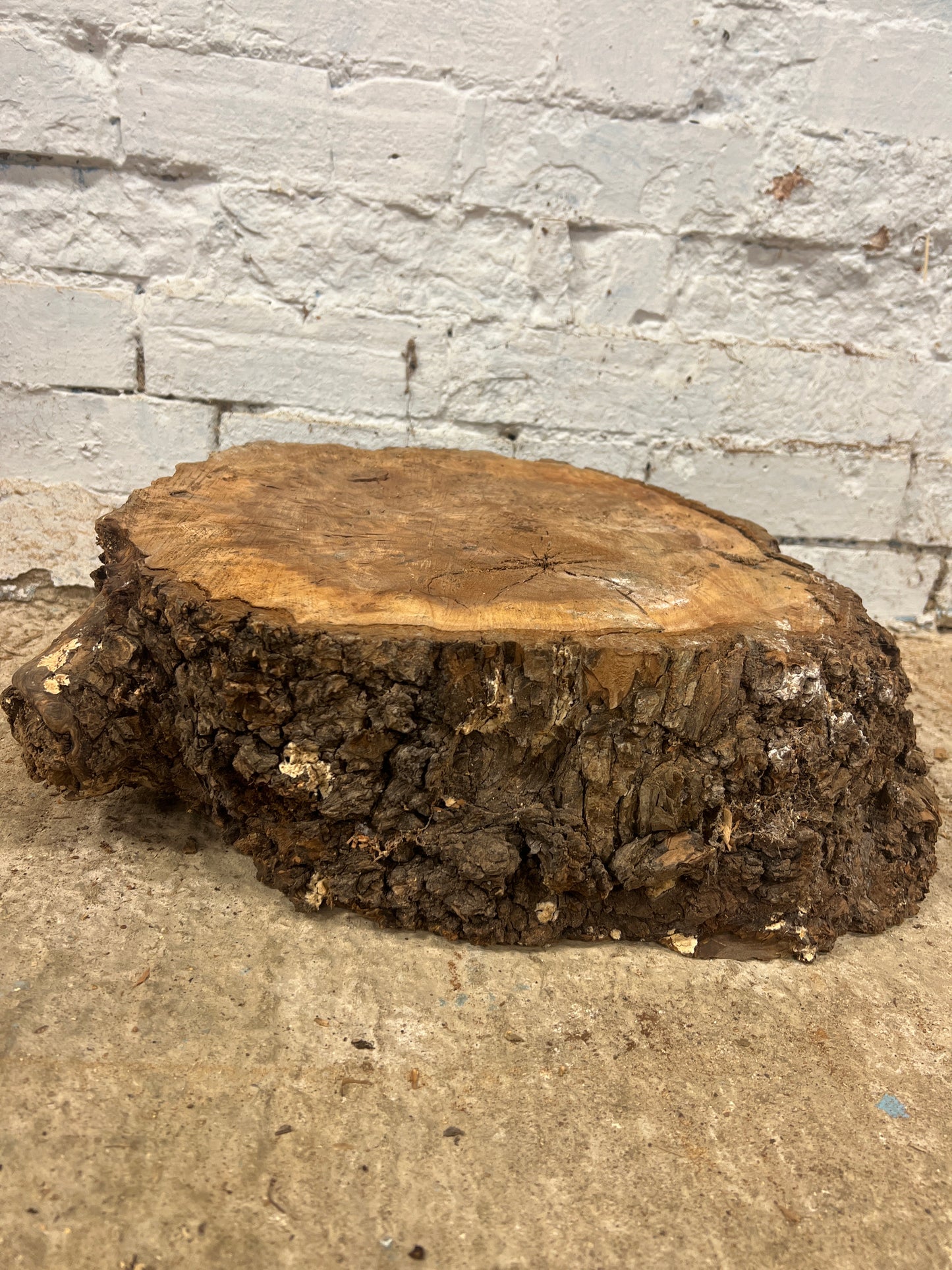 Elm No 140 - 400x370x150mm Sawn