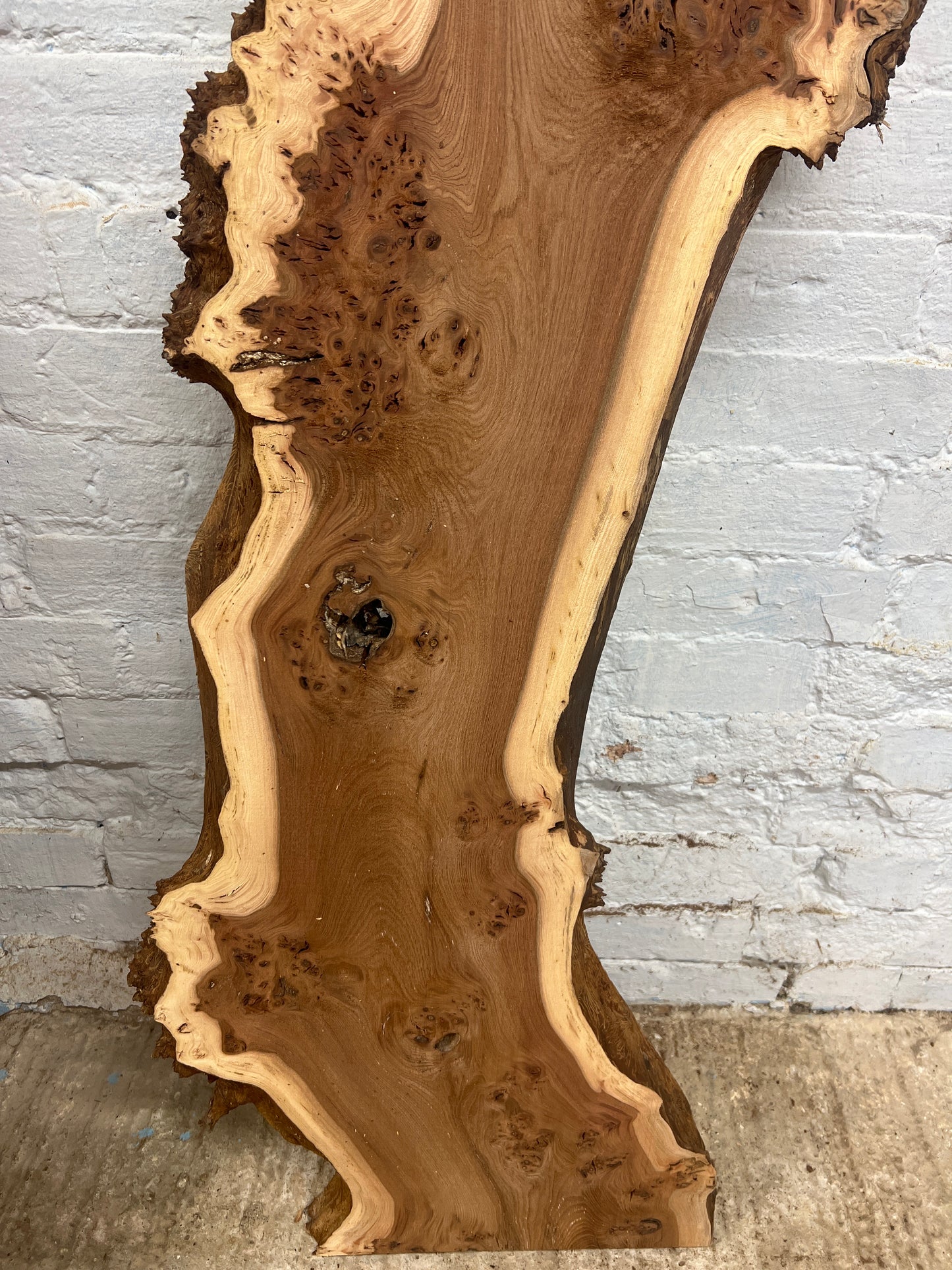 Burr Elm No 224 - 1440x260-420x43mm Planed