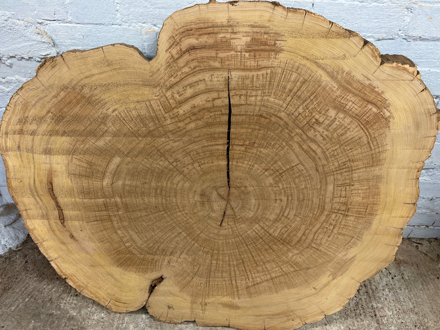 Chestnut No 4 - 930x1090x65mm Planed