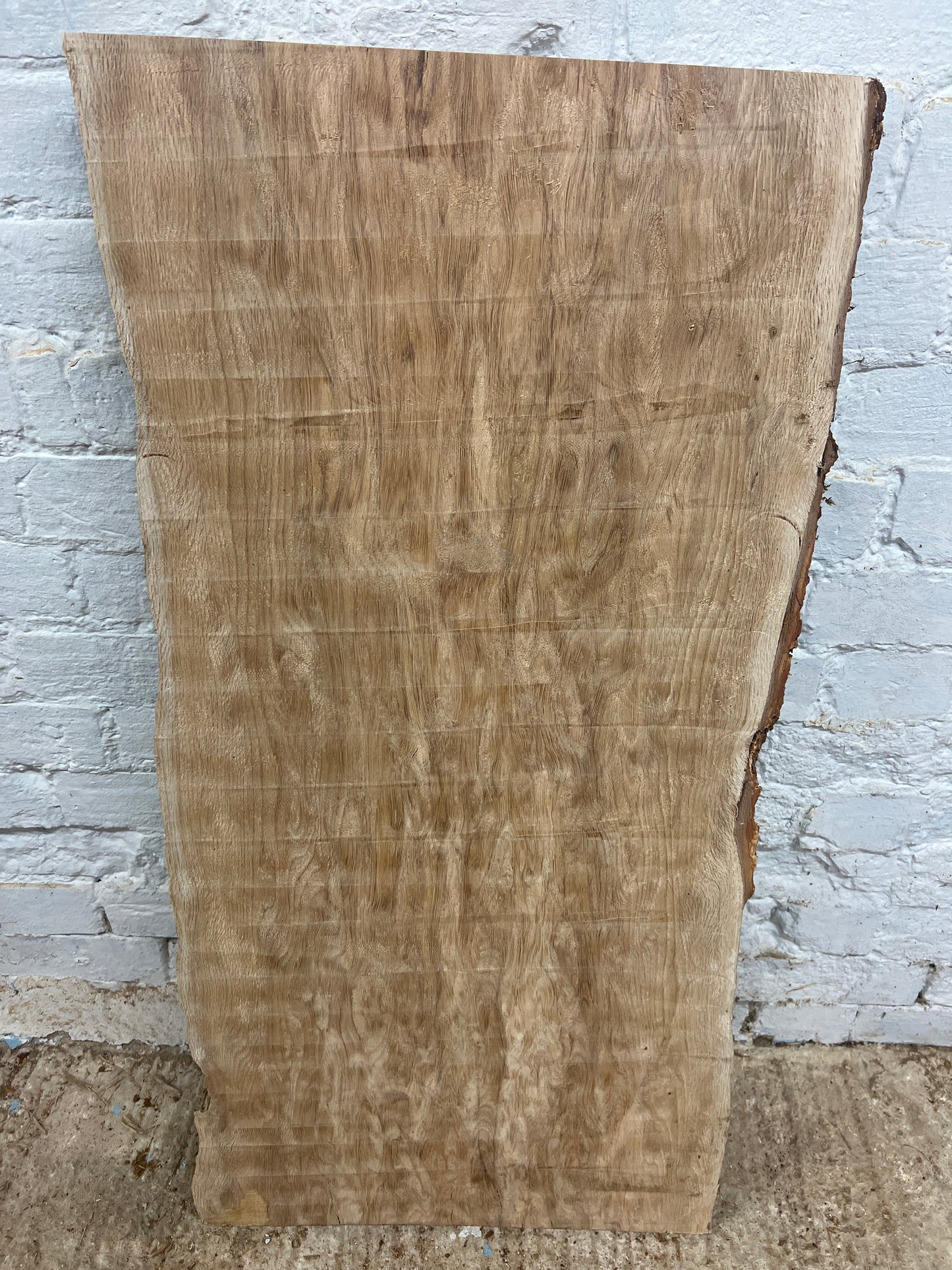 Holm Oak No 189 - 995x450-500x43mm Planed
