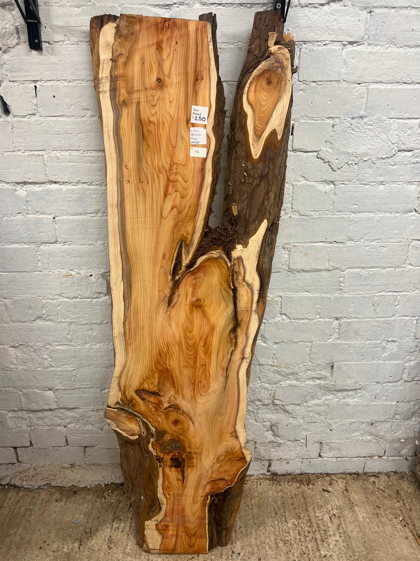 Yew No 14 - 1450x290-450x40mm Planed