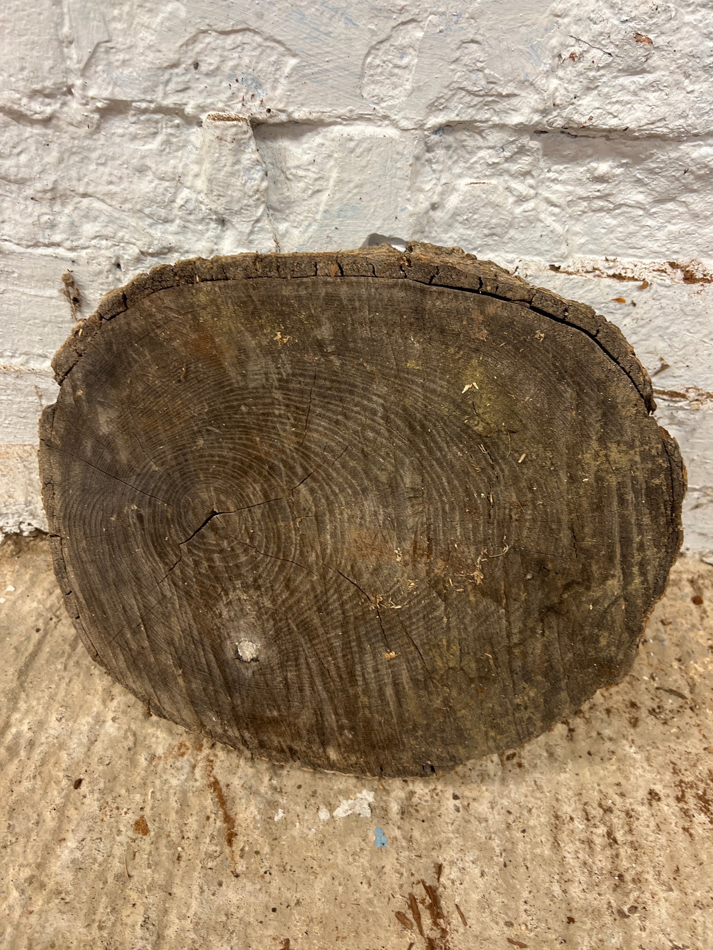 Ash No 144 - 320x290x70mm Sawn