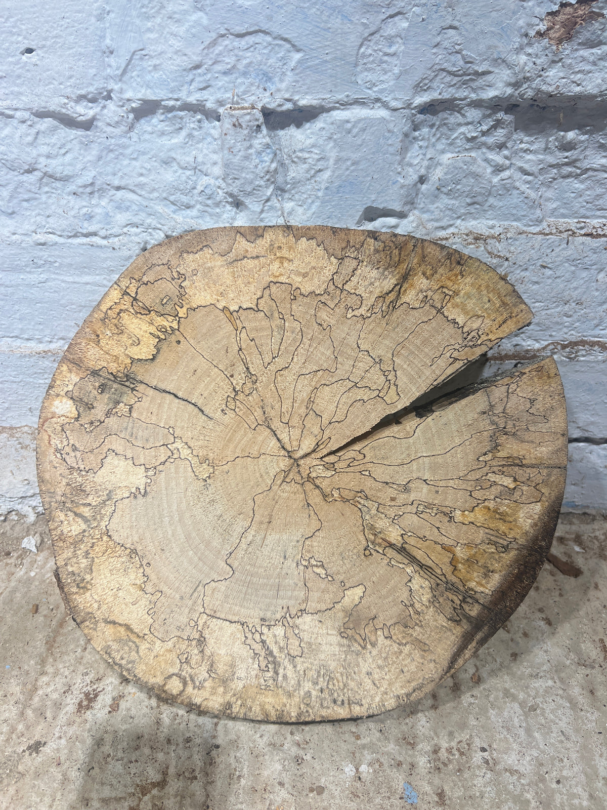 Spalted Beech Round No 231 - 290x300x50mm Sawn