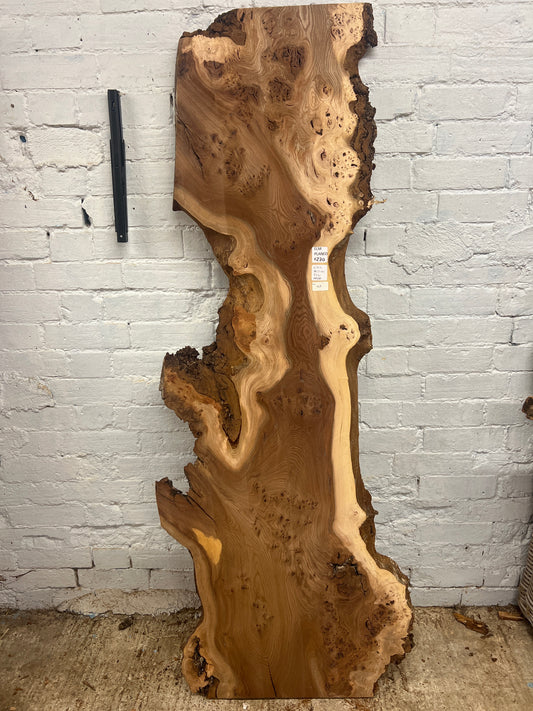Burr Elm No 148 - 1715x290-600x32mm Planed