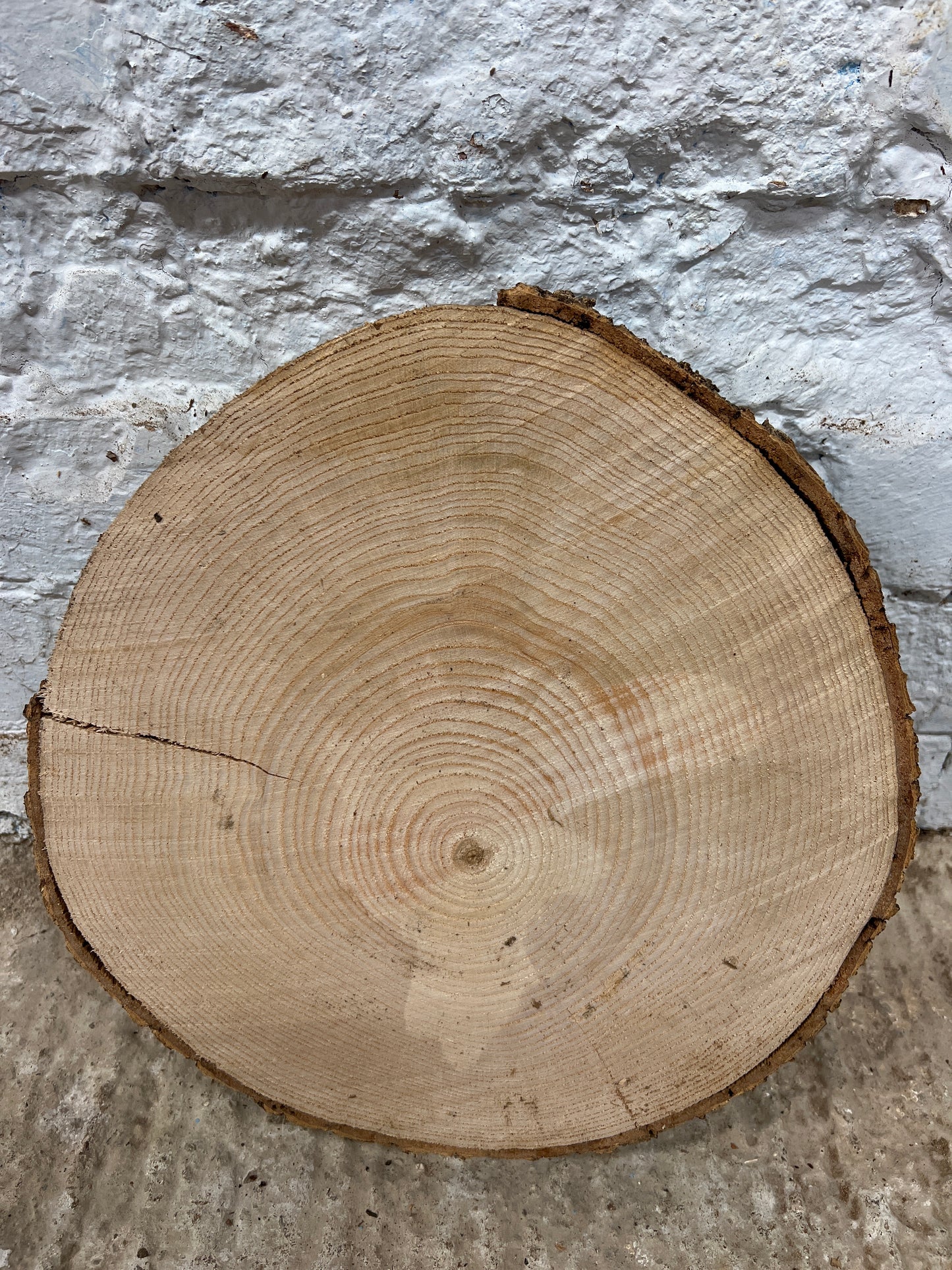 Ash No 142 - 310x310x55mm Sawn