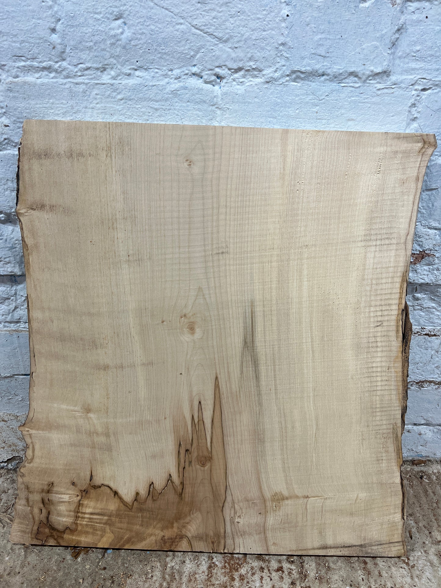 Beech No 172 - 530x430-520x34mm