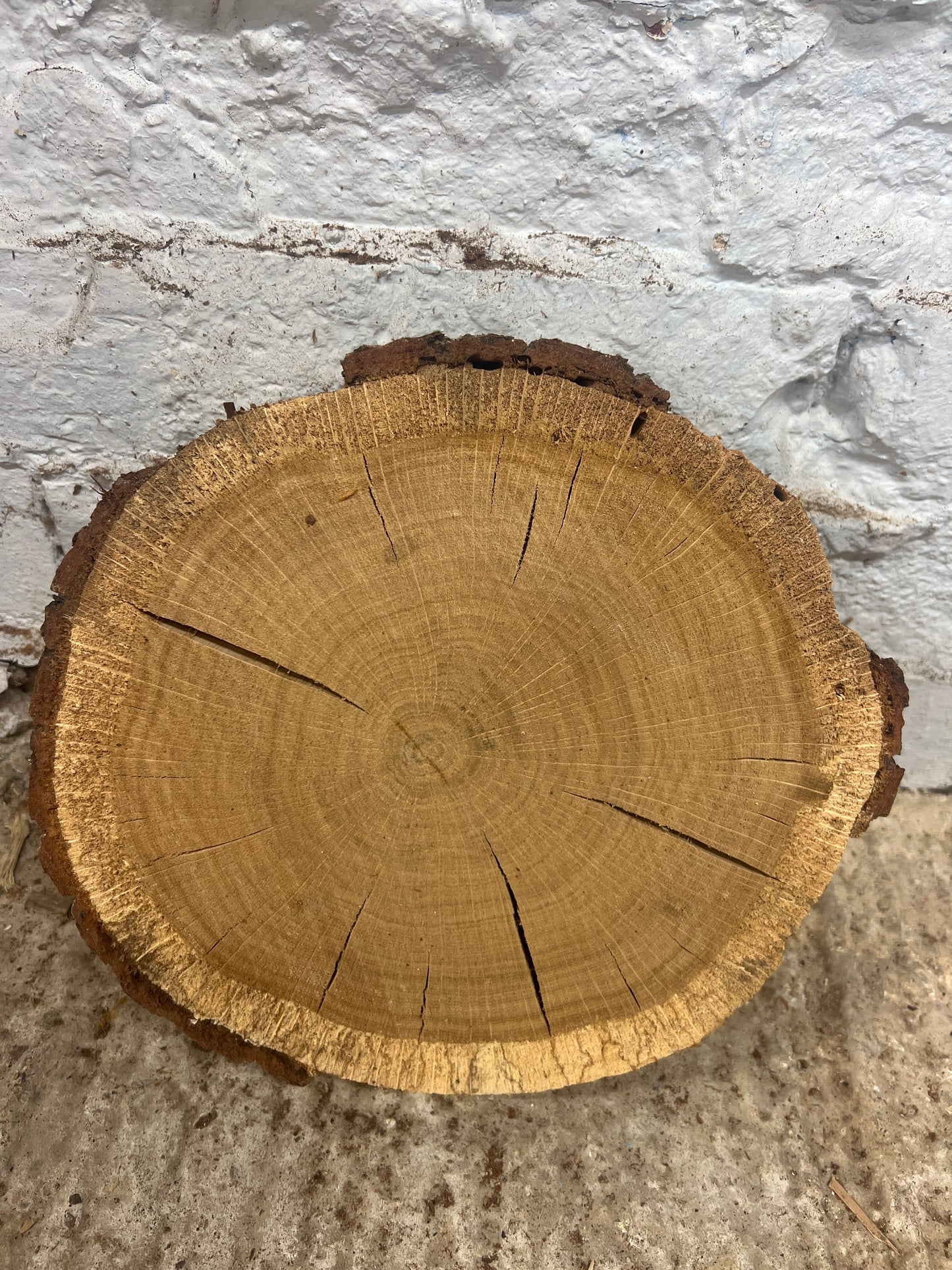 Oak no 132 -280x240x50mm Sawn