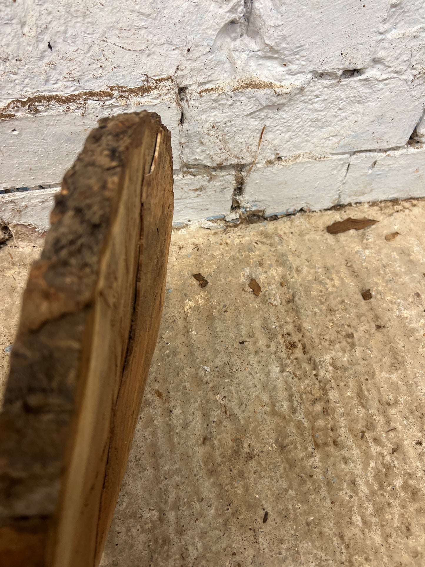 Burr Elm No 107 - 350x240x20mm Sawn