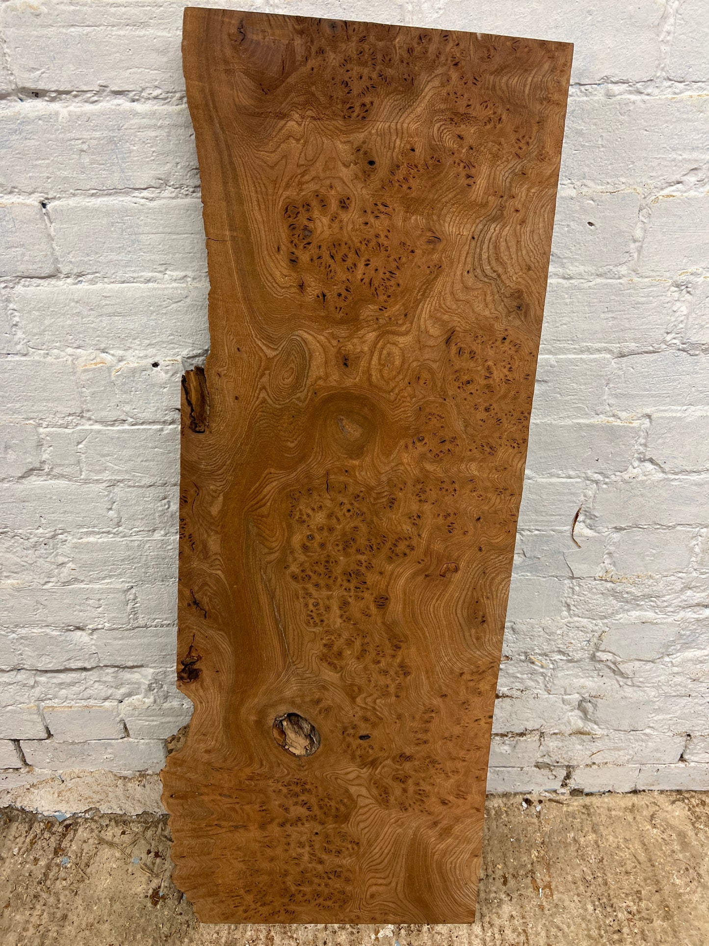 Burr Elm No 22 - 1120x310-430x38mm Planed