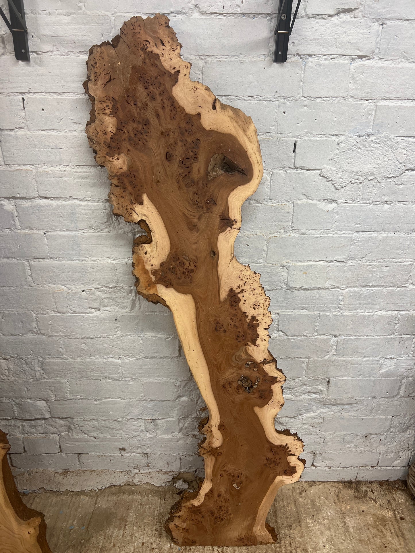 Burr Elm No 229 - 1480x210-360x30mm Planed