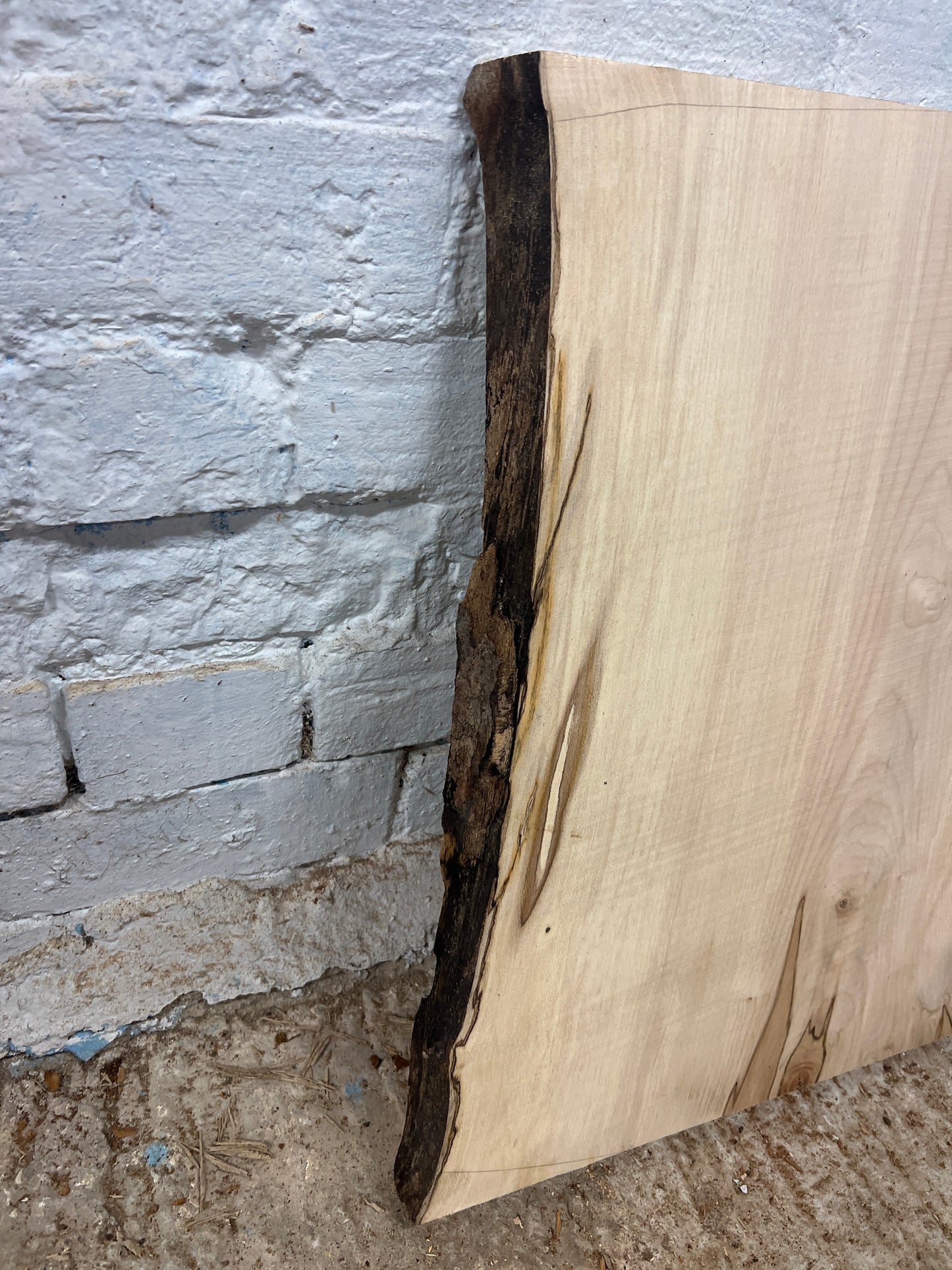 Beech No 172 - 530x430-520x34mm