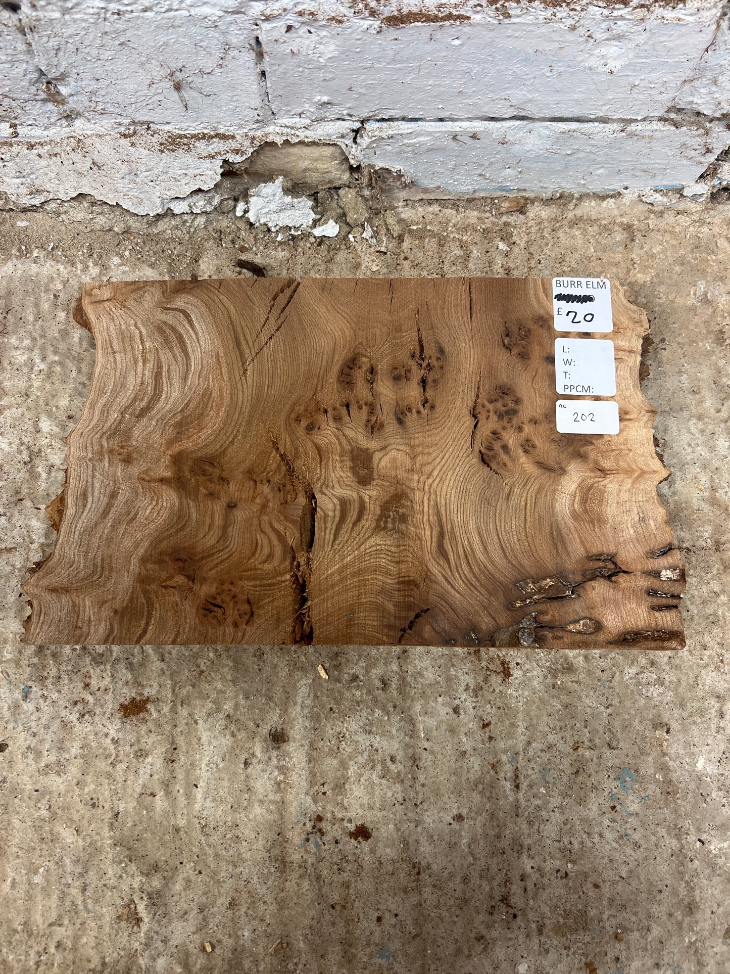 Burr Elm No 202 - 230x340x30mm Sawn