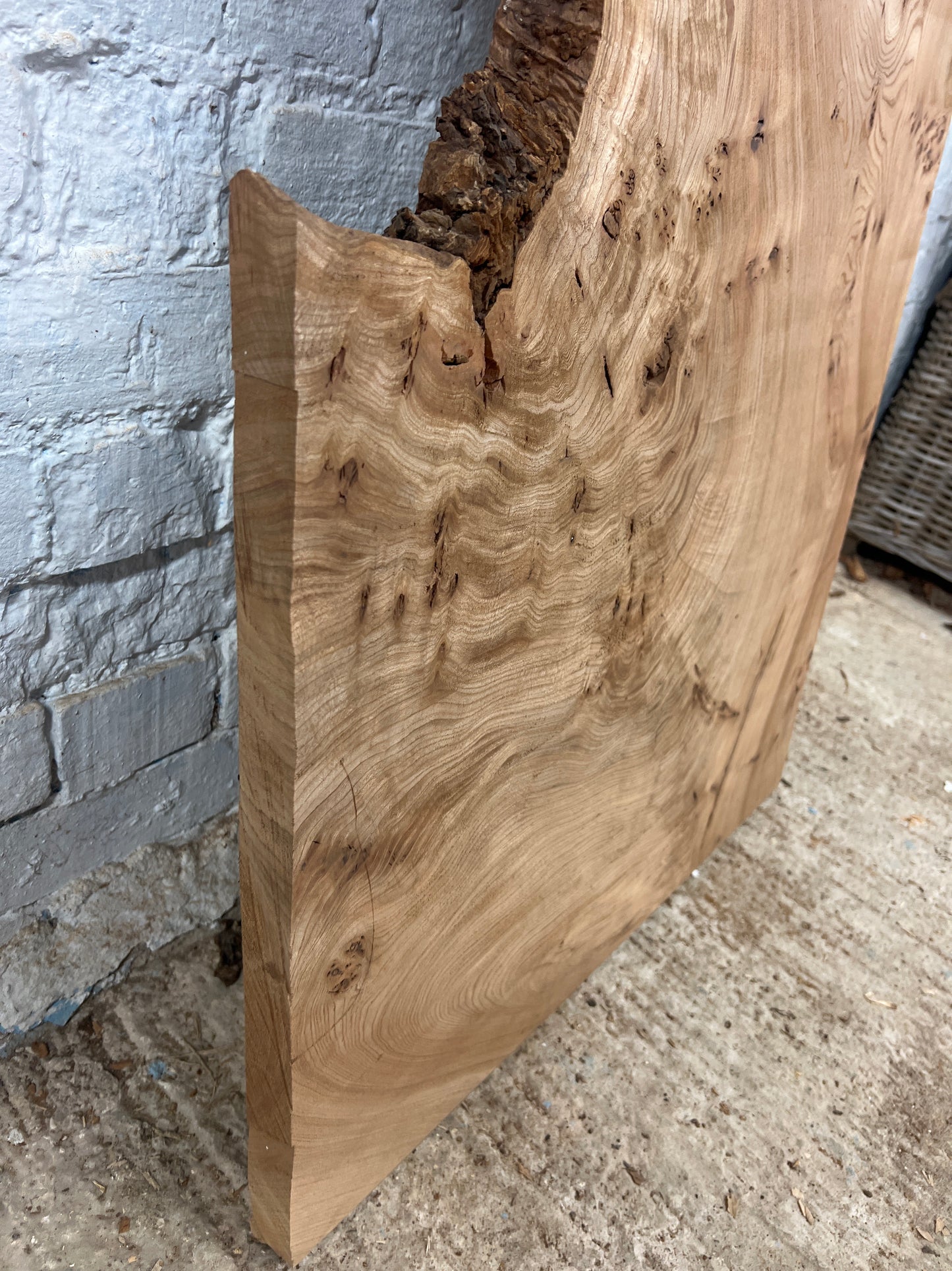 Burr Elm No 221- 1480x530-680x35mm Planed
