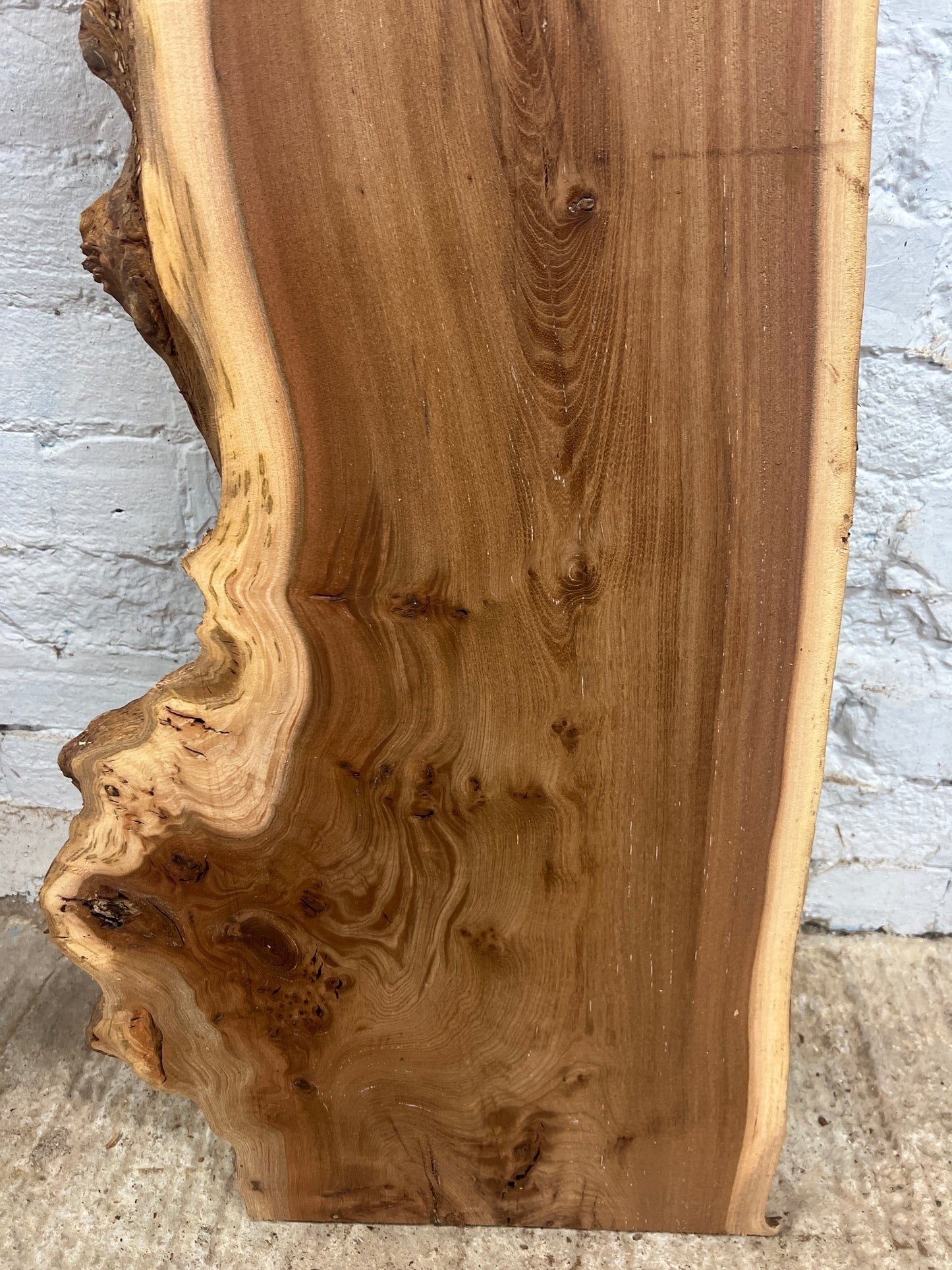 Burr Elm No 225 - 1410x290-460x35mm Planed