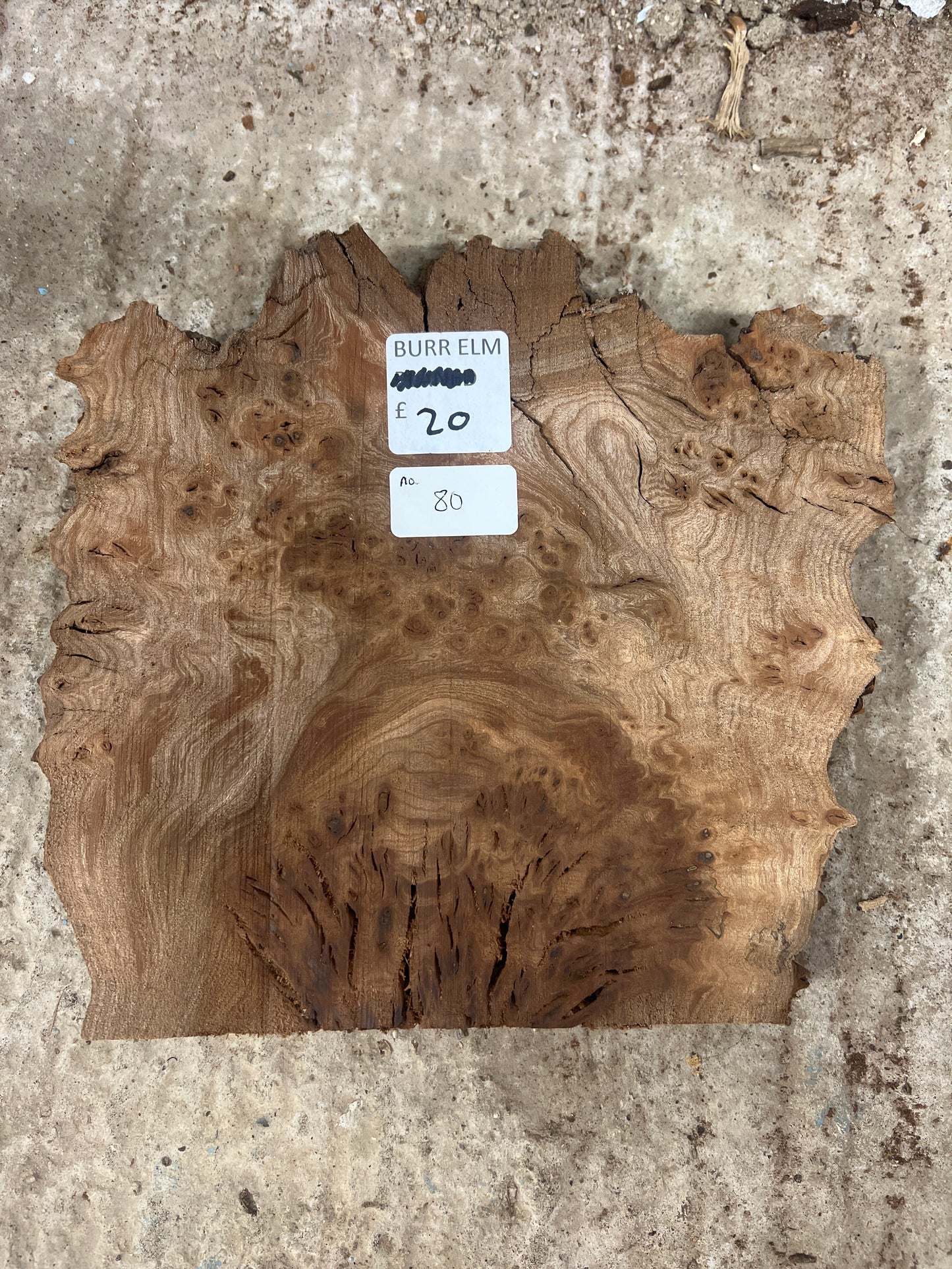 Burr Elm No 80 - 230x230x33mm Sawn
