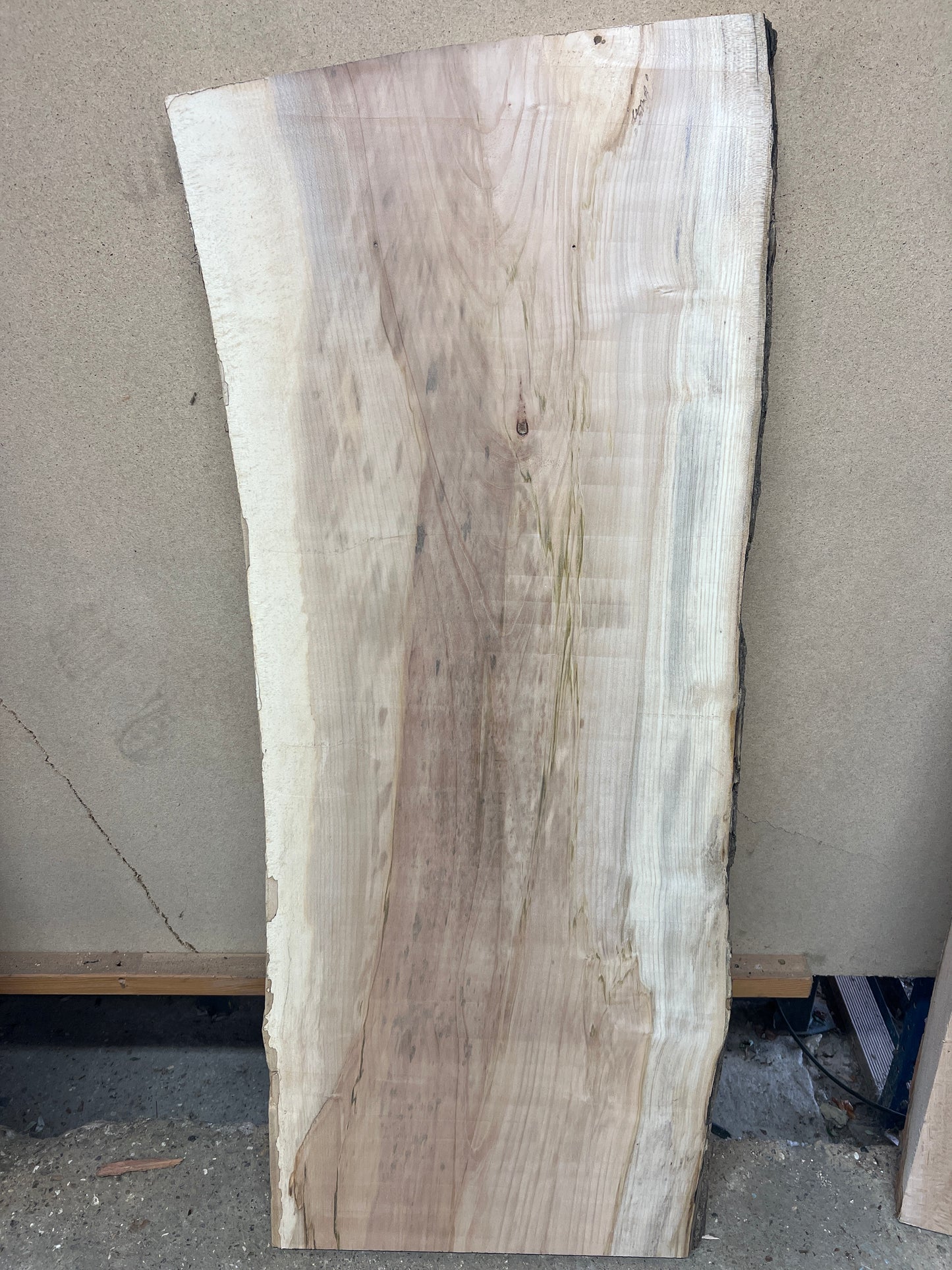 Beech No 173 - 1310x510-550x37mm Planed