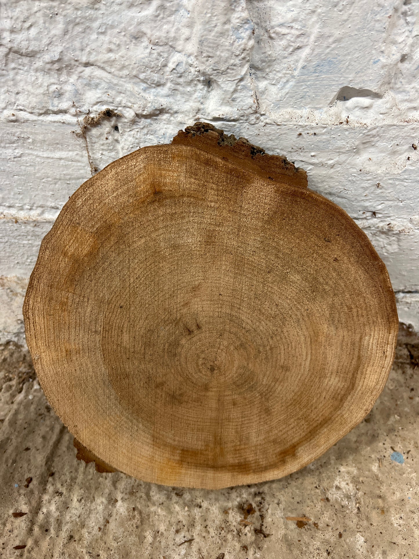Elm No 149 - 260x260x35mm Sawn