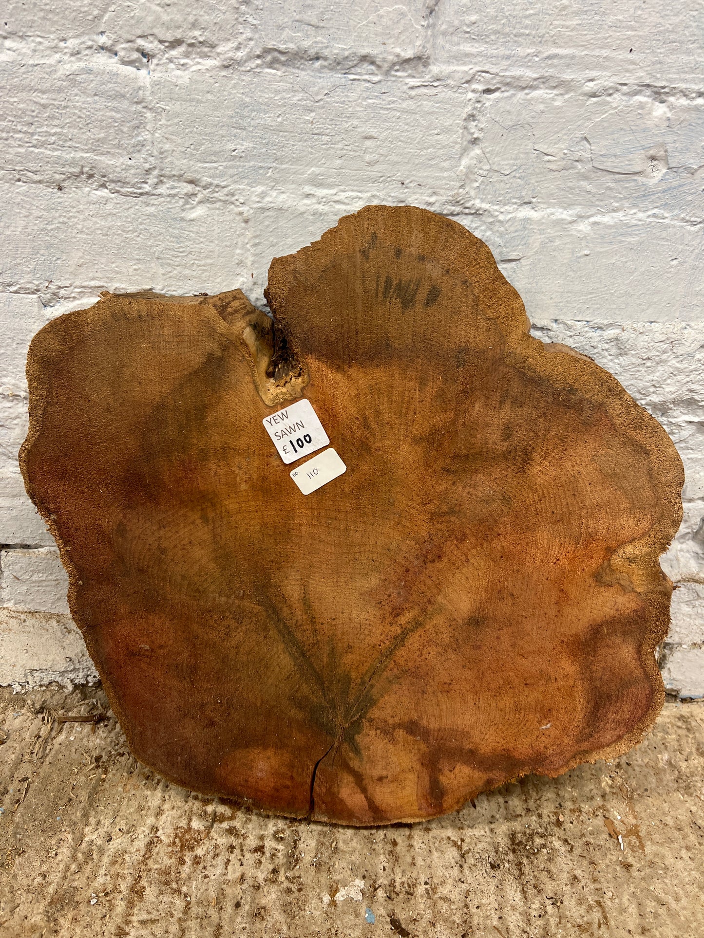 Yew No 110 - 480x490x50mm Sawn