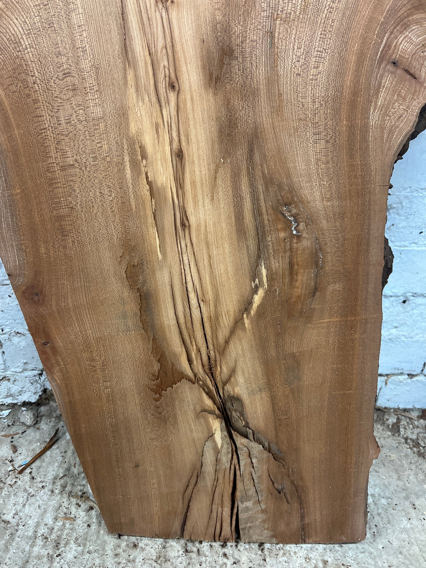 Burr Elm No 148 - 1280x340-770x40mm Planed