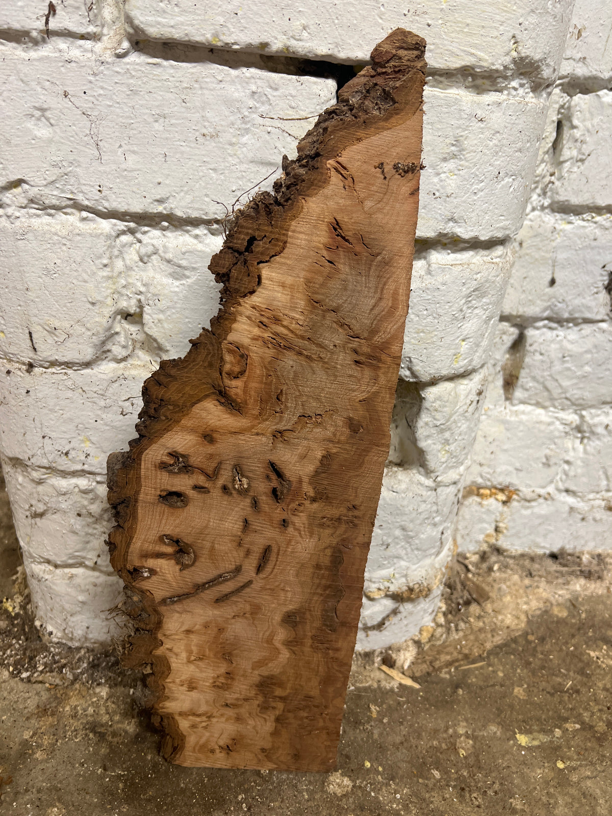 Burr Elm No 80 - 430x150x25mm Sawn