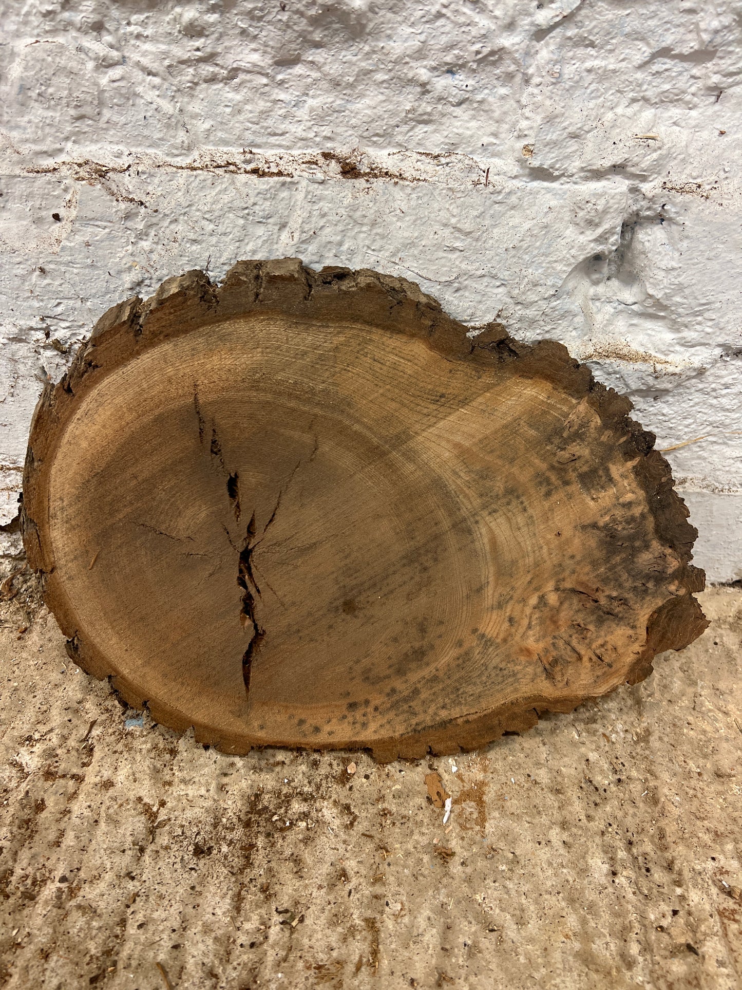 Elm No 197 - 310x220x25mm Sawn
