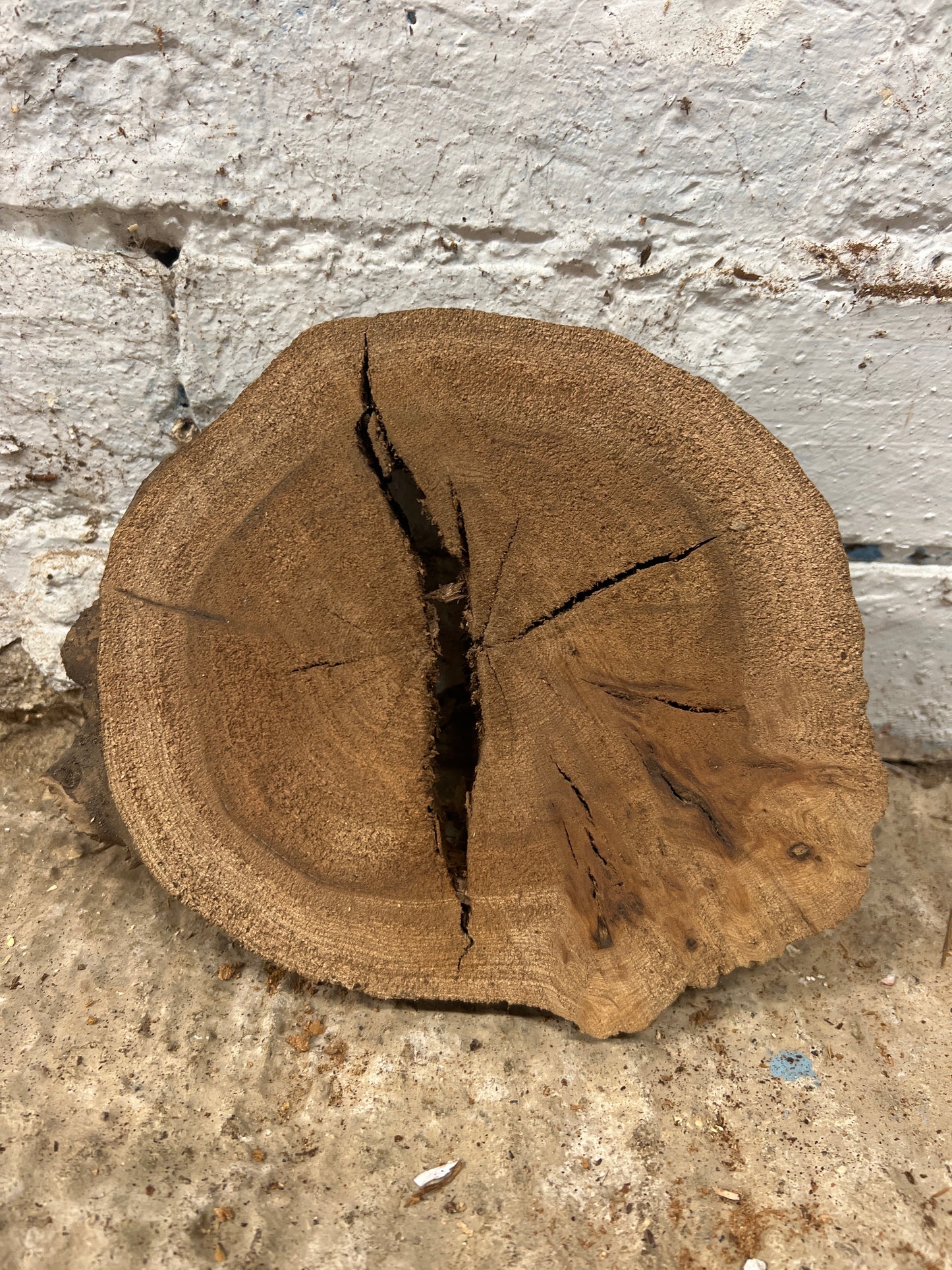 Elm No 195 - 200x170x30mm Sawn