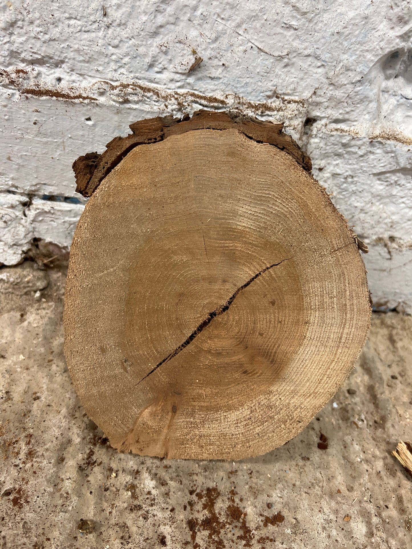 Elm No 140 - 160x180x55mm Sawn