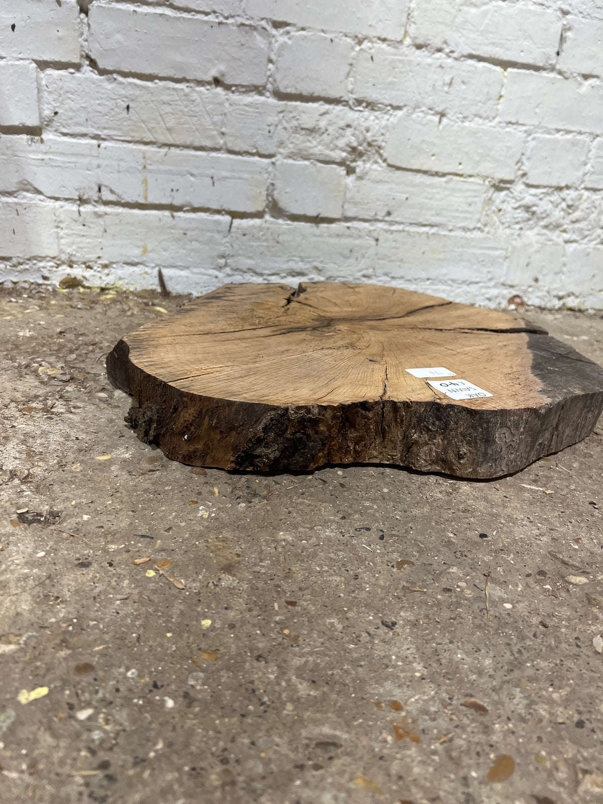Holm Oak Round No 76 - 430x480x55mm Sawn