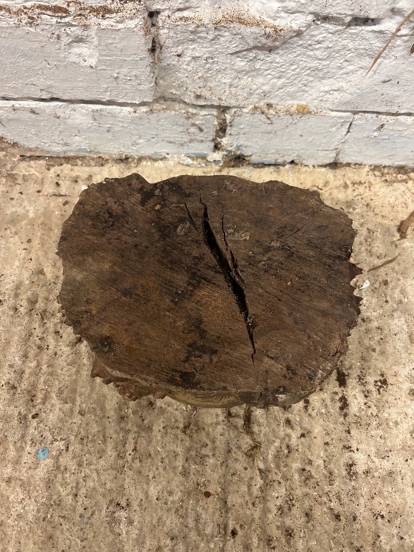 Elm No 135 - 230x180x85mm Sawn