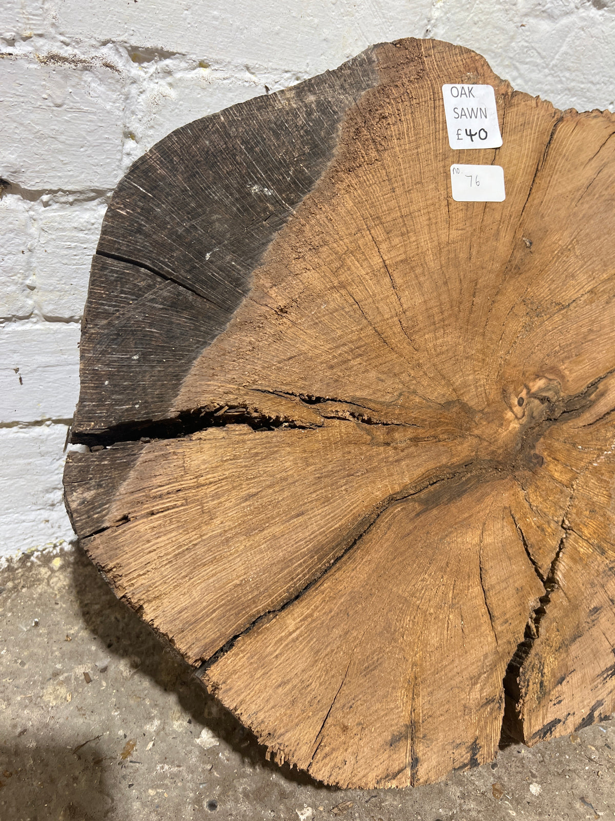 Holm Oak Round No 76 - 430x480x55mm Sawn