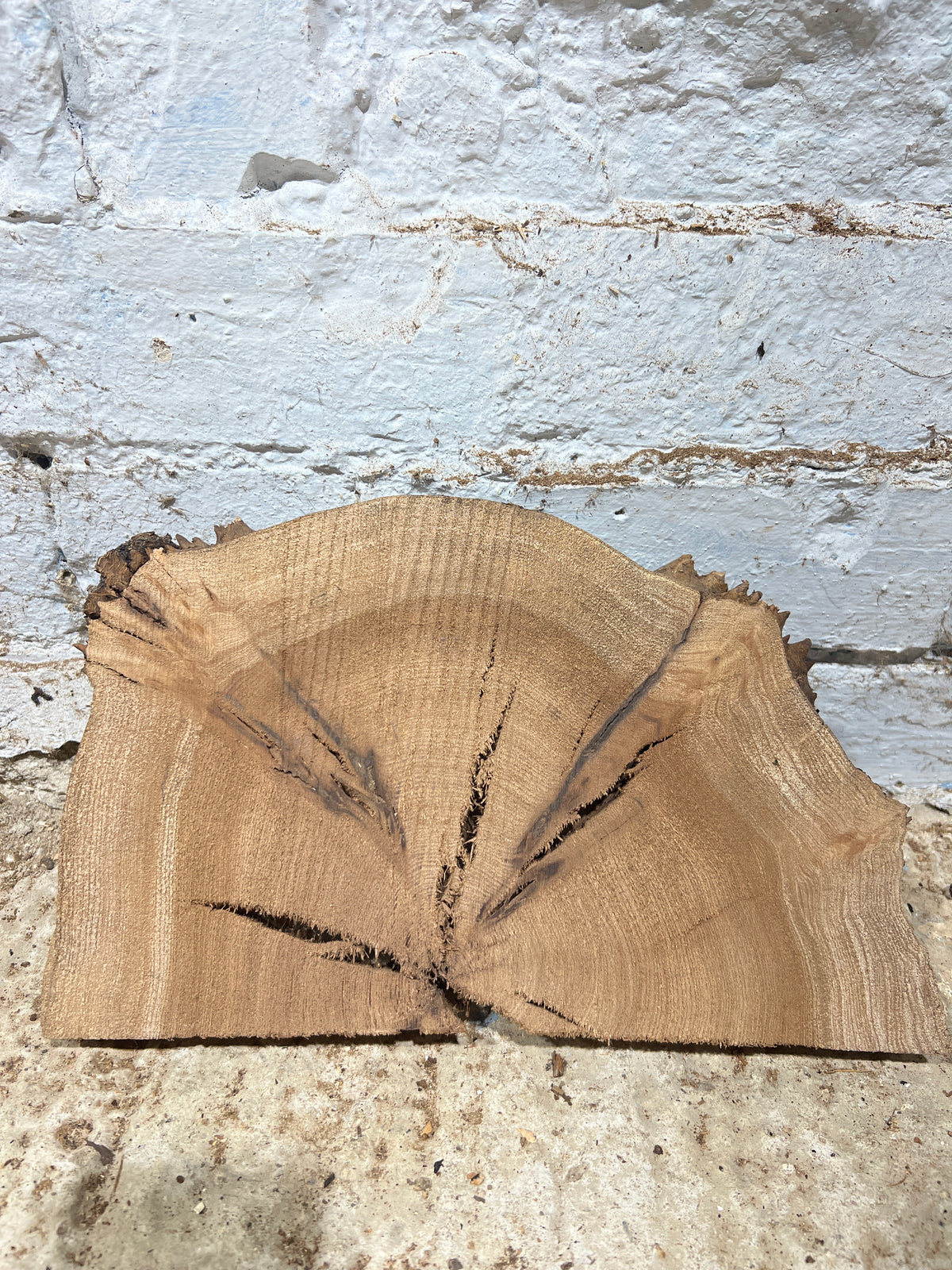 Burr Elm No 202 - 300x180x25mm Sawn