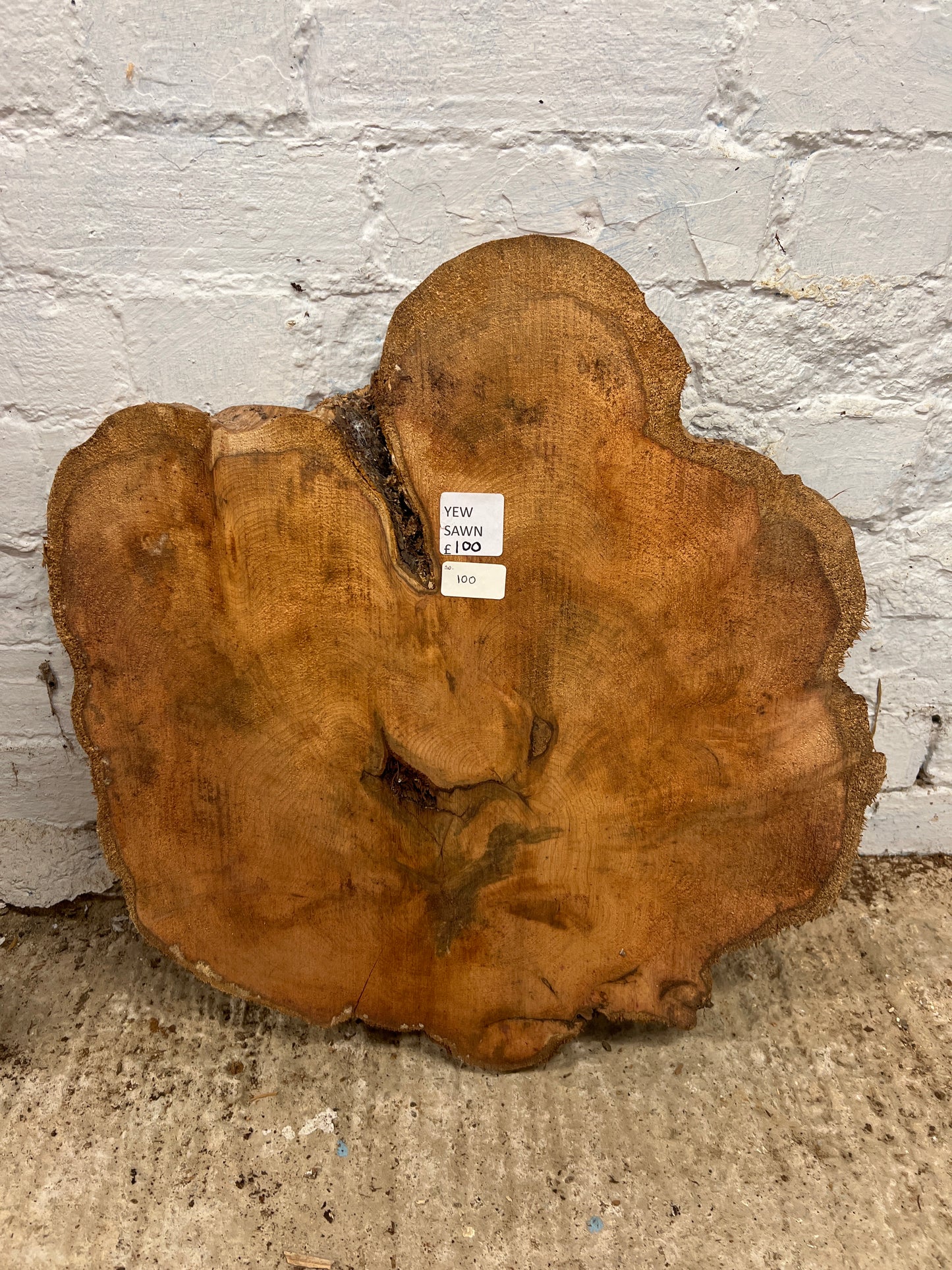 Yew No 100 - 500x530x55mm Sawn