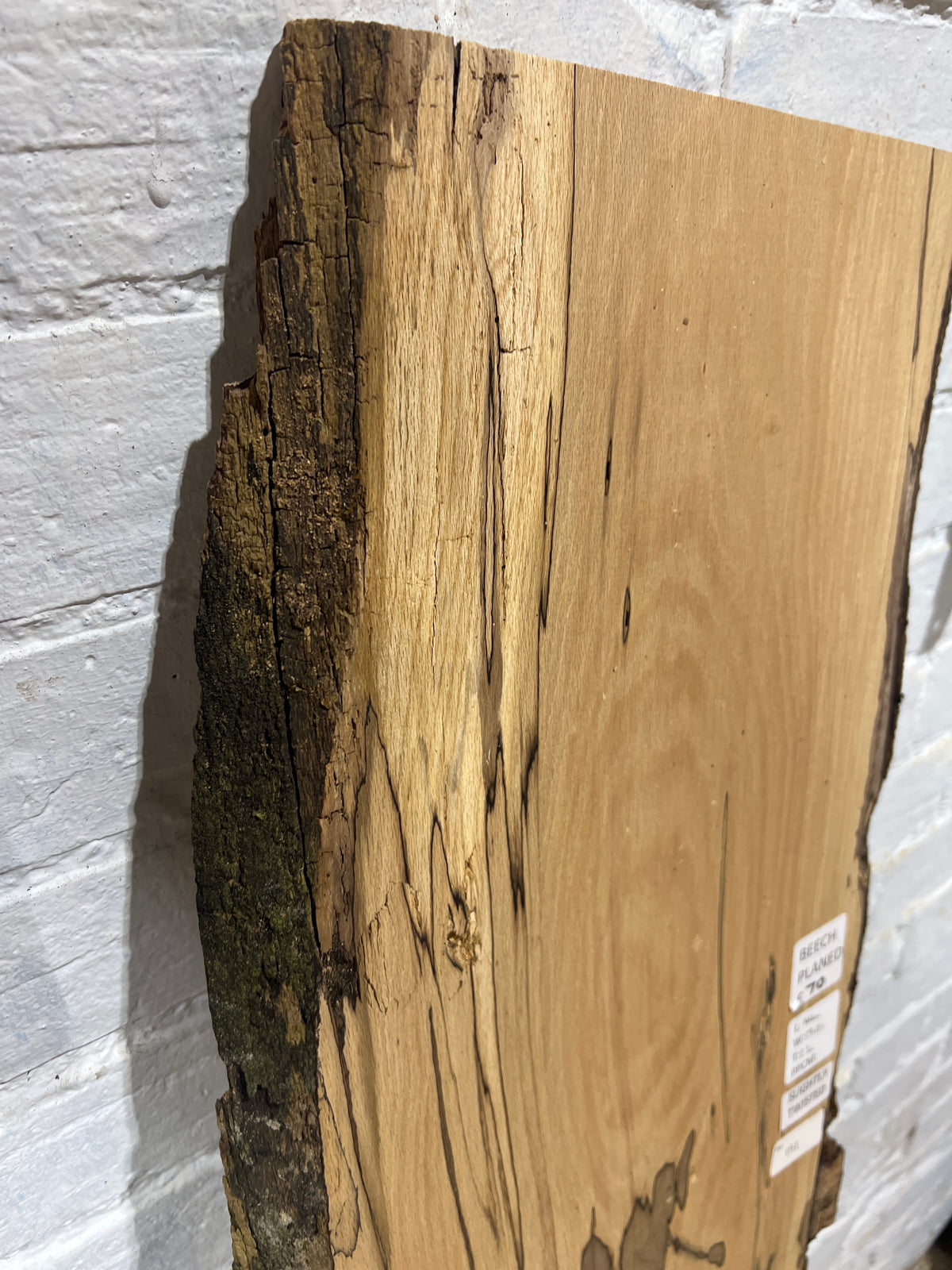 Spalted Beech No 151 - 1440x290-320x23mm Planed