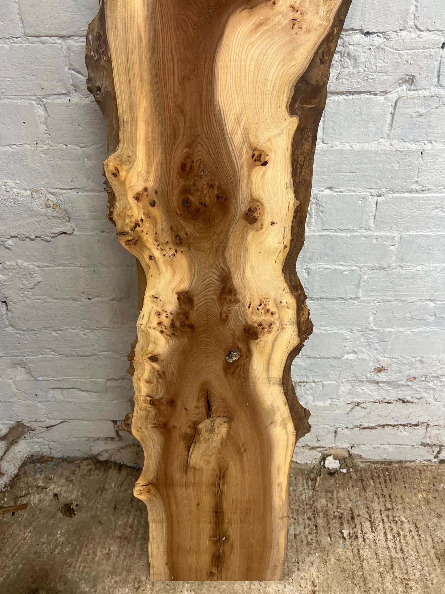 Burr Elm No 226 - 1770x250-350x40mm