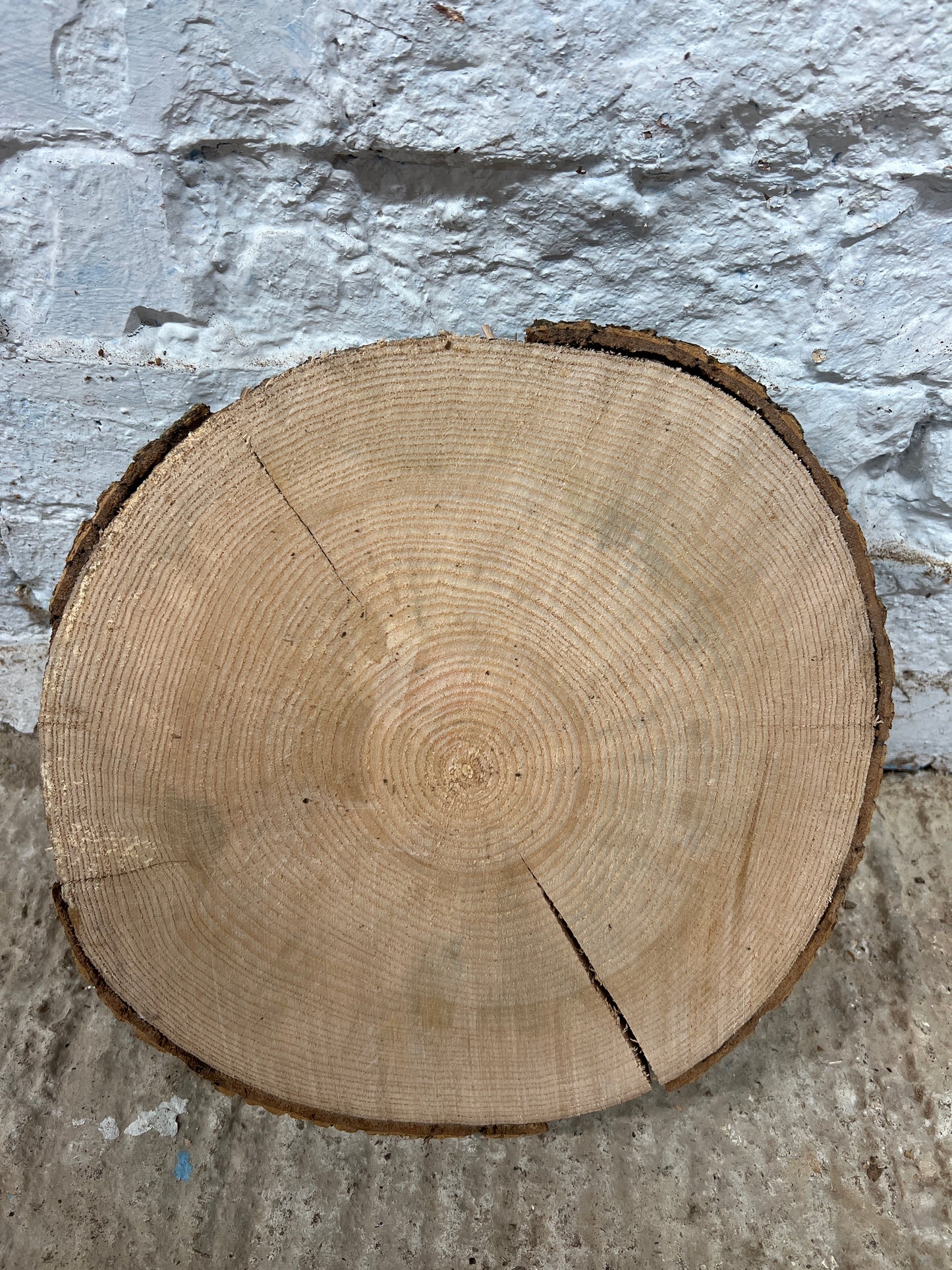 Ash No 147 - 310x310x47mm Sawn