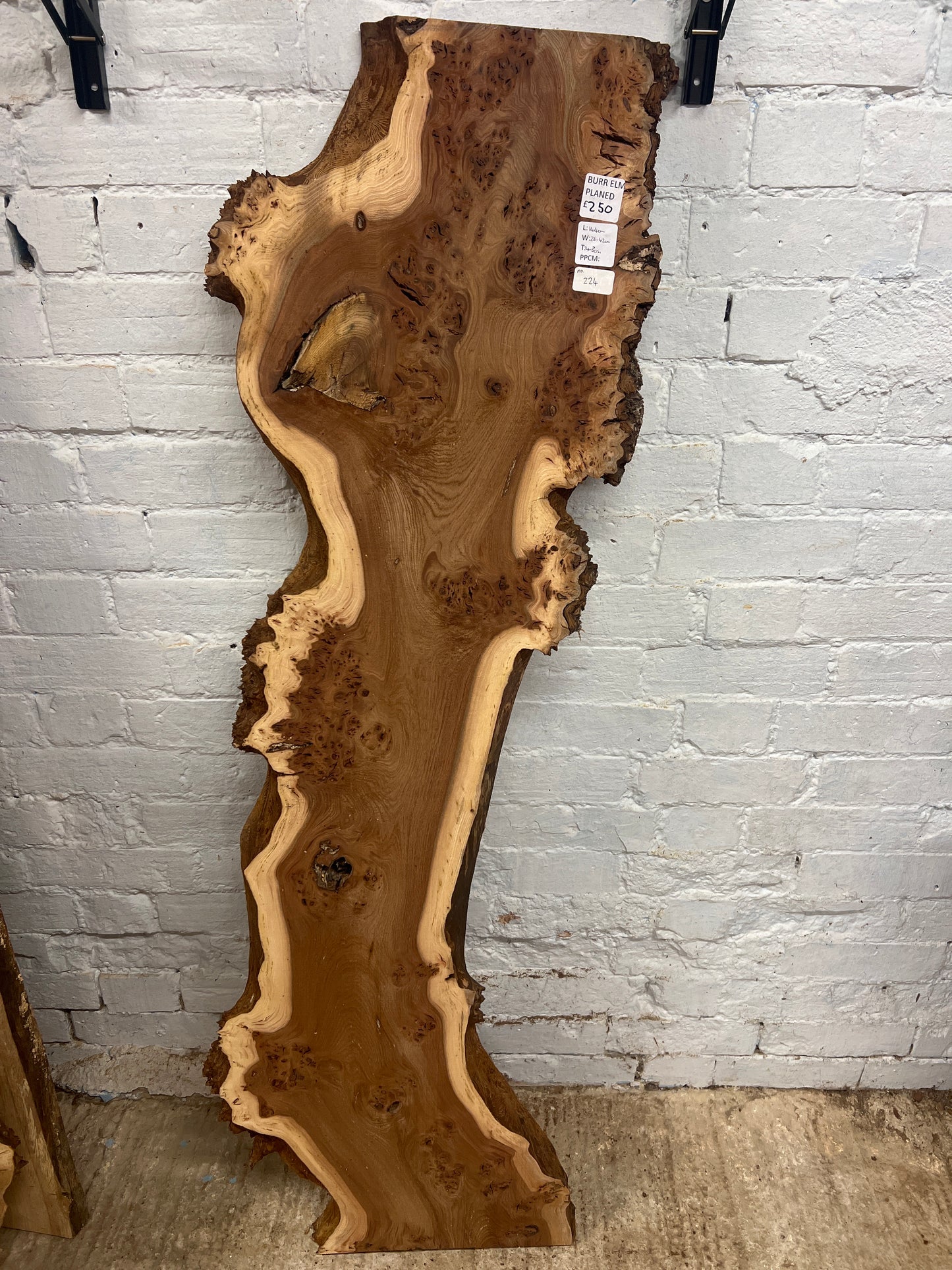 Burr Elm No 224 - 1440x260-420x43mm Planed