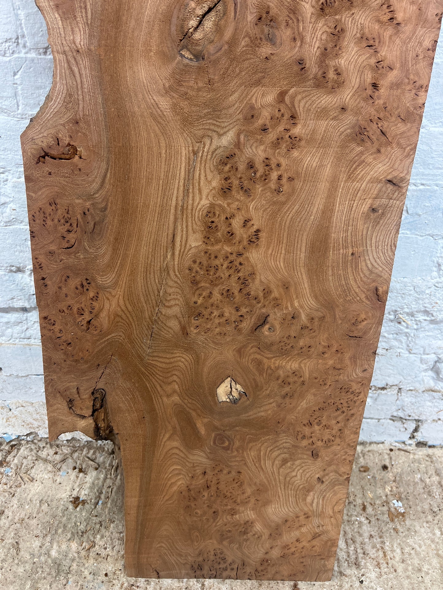Elm No 131 - 1110x330-430x35mm Planed